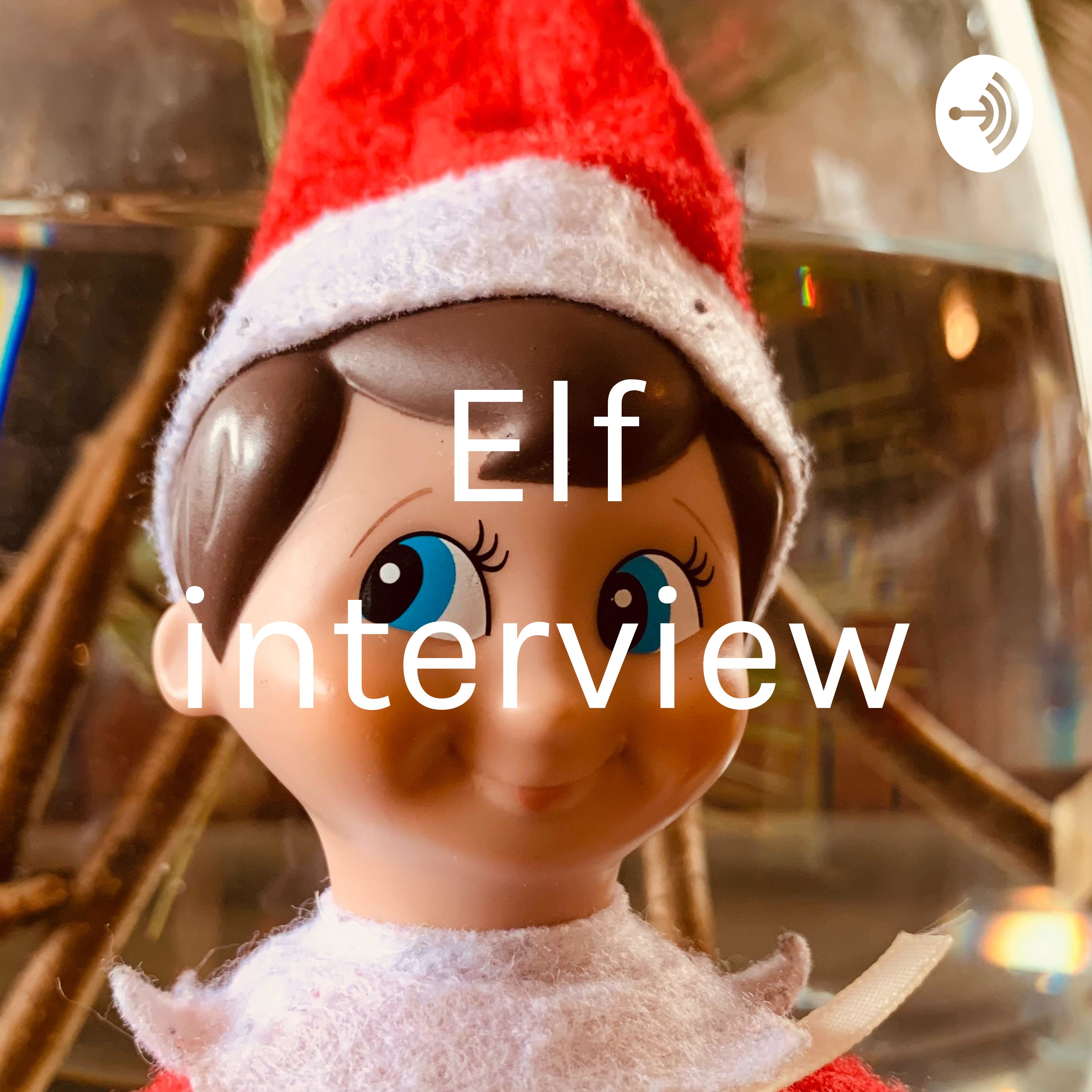 Elf interview