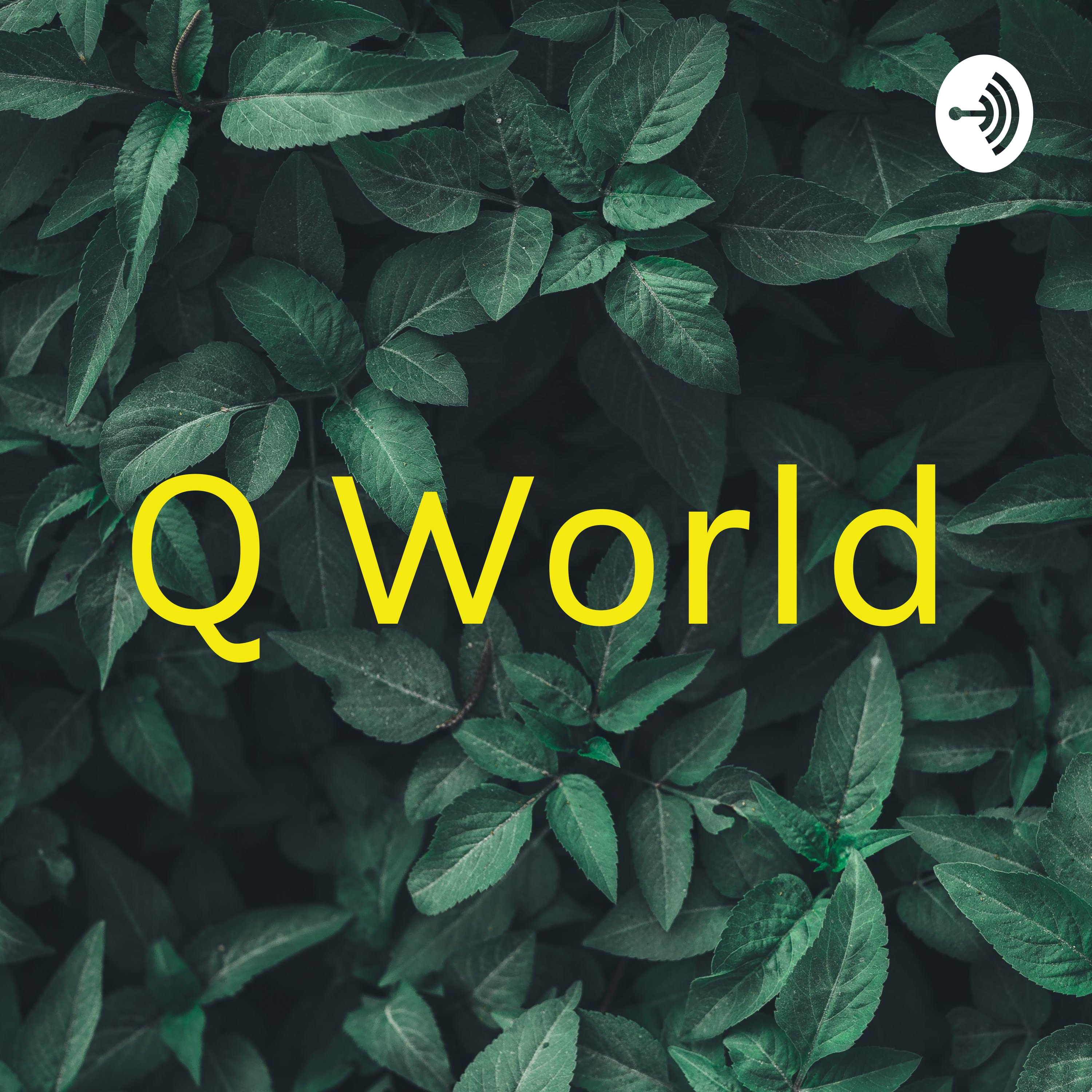 Q World