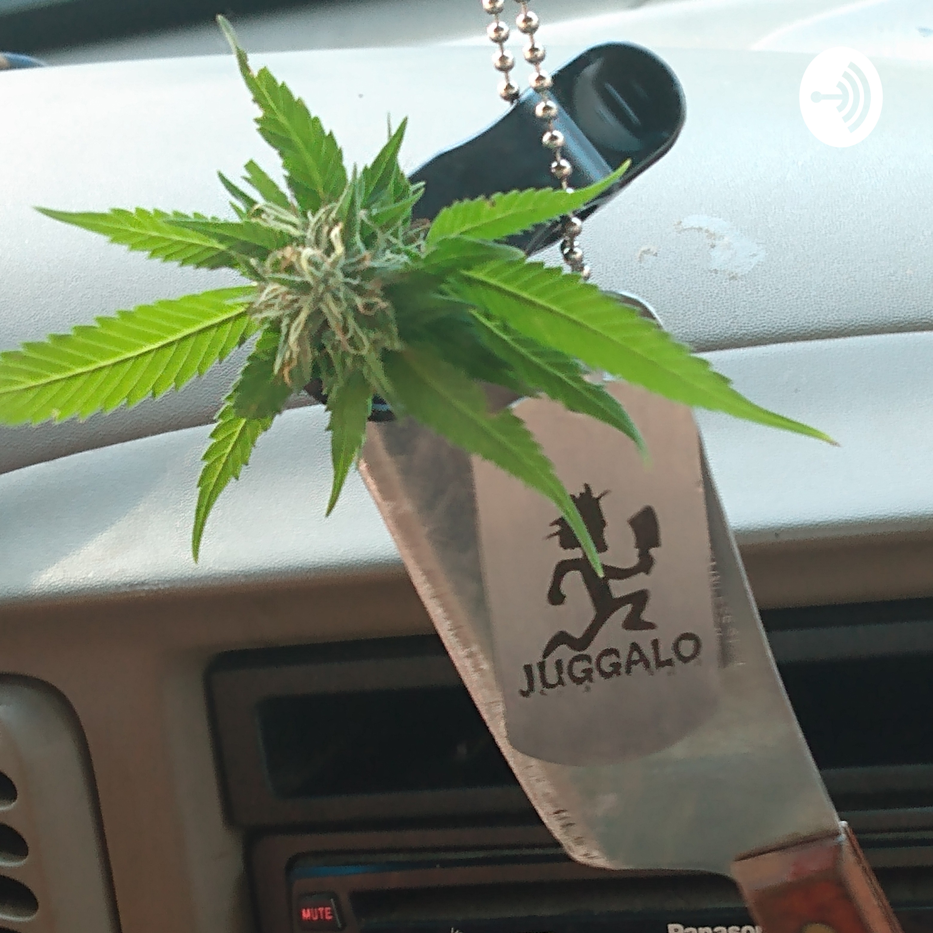 PP\'s Pitiful Podcast