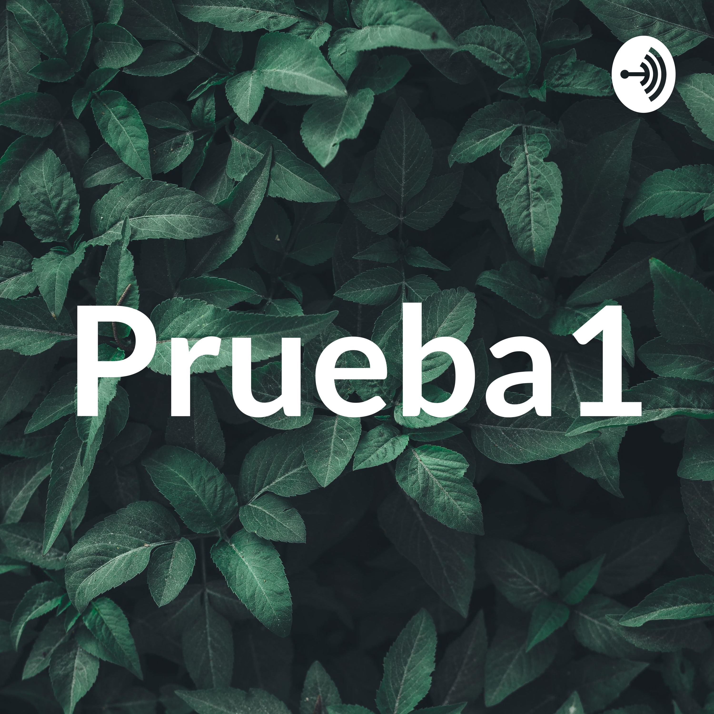 Prueba1 podcast artwork