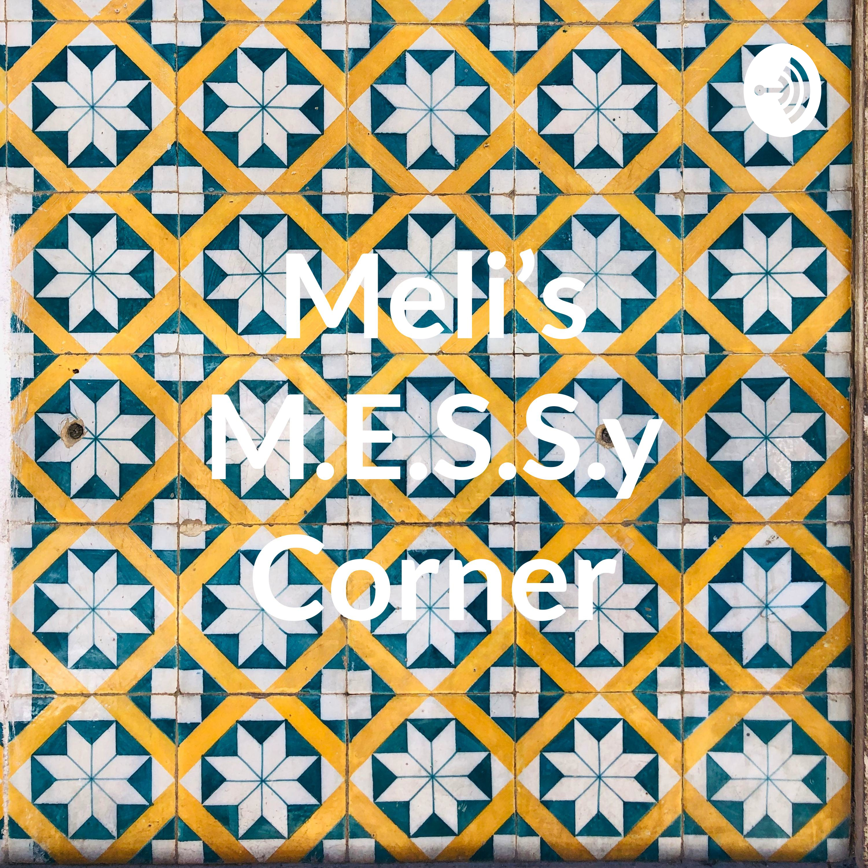 Meli’s M.E.S.S.y Corner
