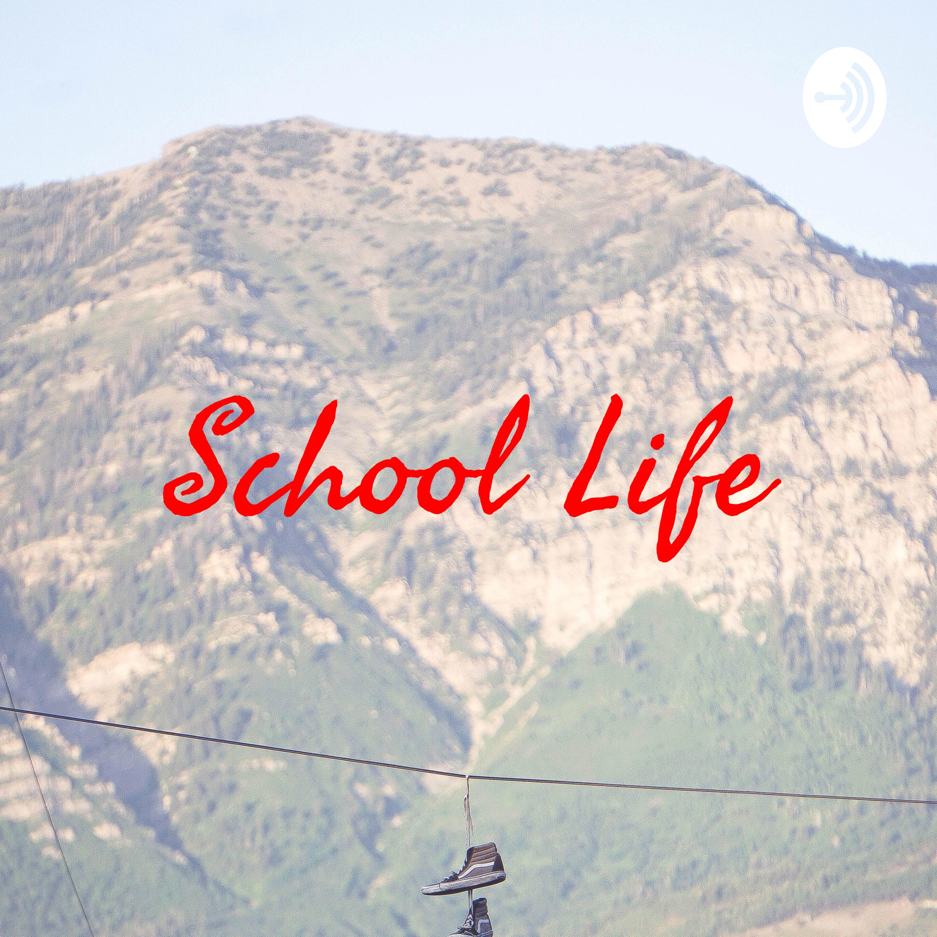  School Life