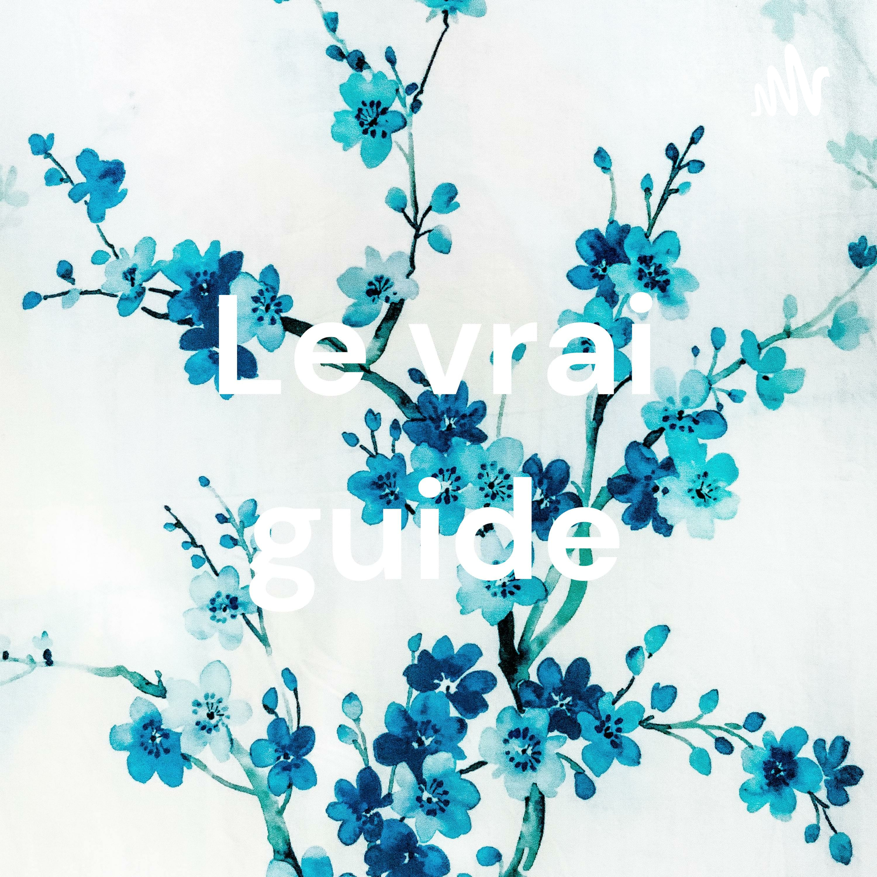SUR TA PAROLE episode artwork