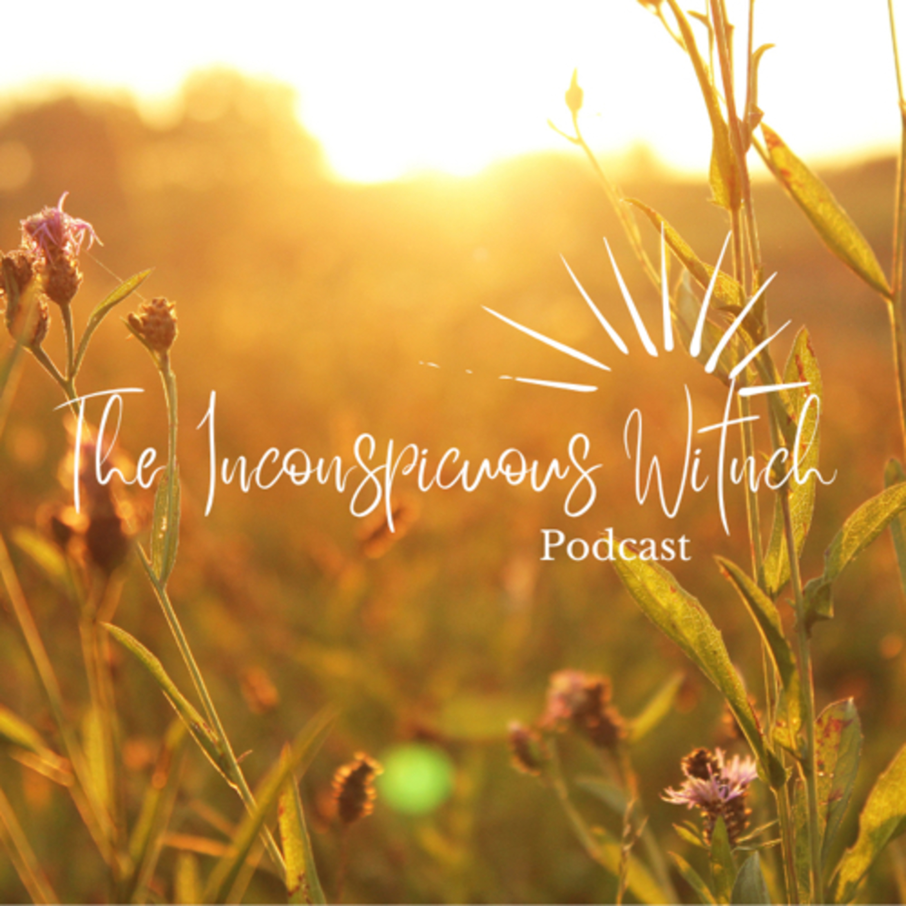 The Inconspicuous Witch