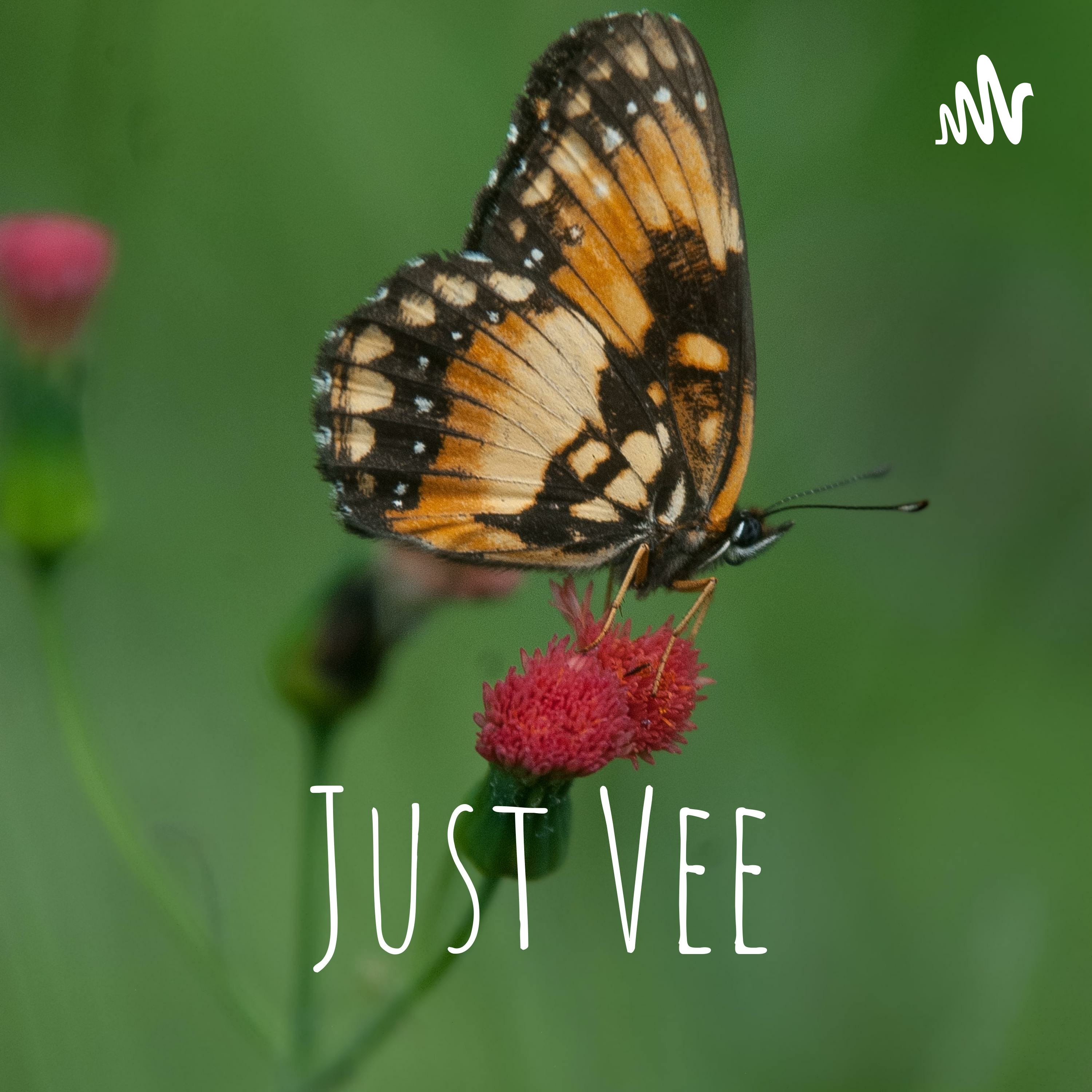 Just Vee