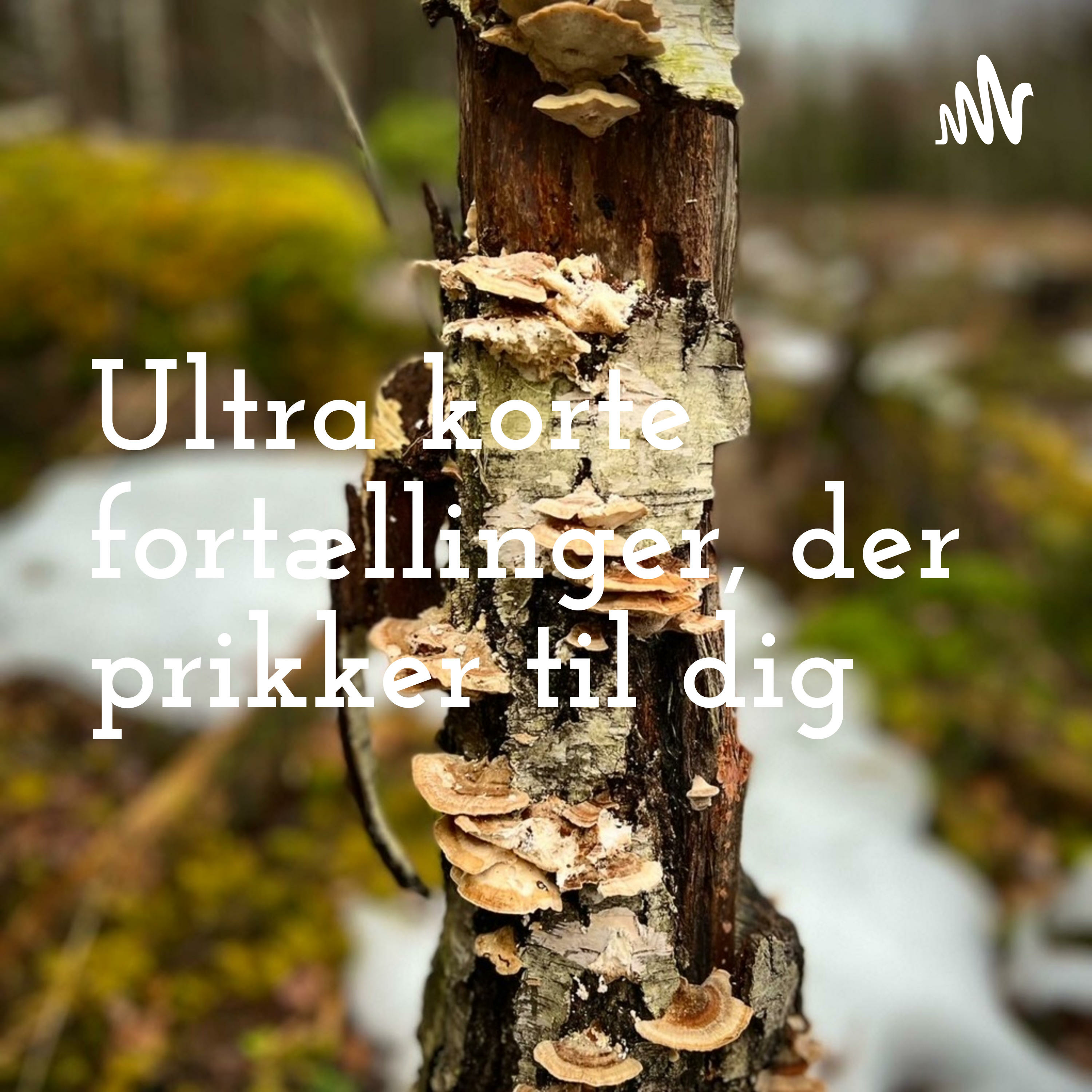 Fortællinger der prikker til dig af Ida Antvorskov