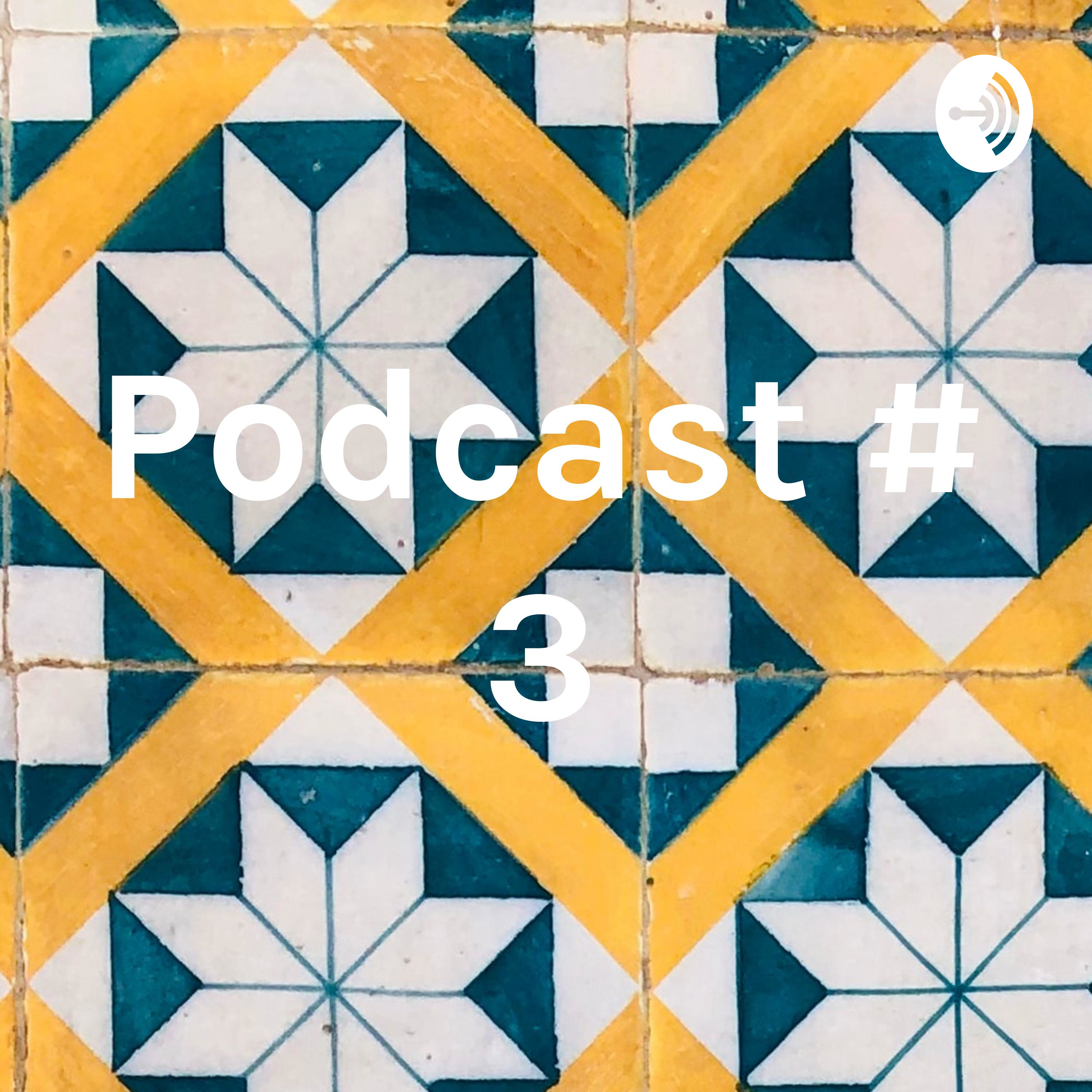 Podcast # 3