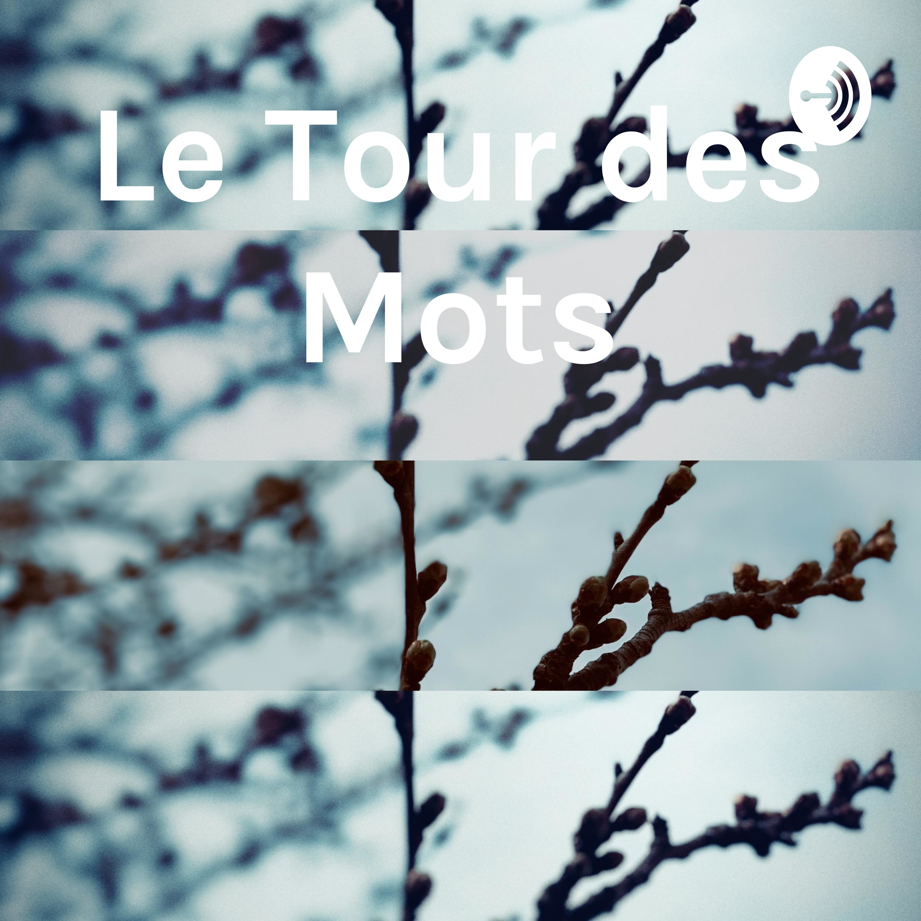 Le Tour des Mots