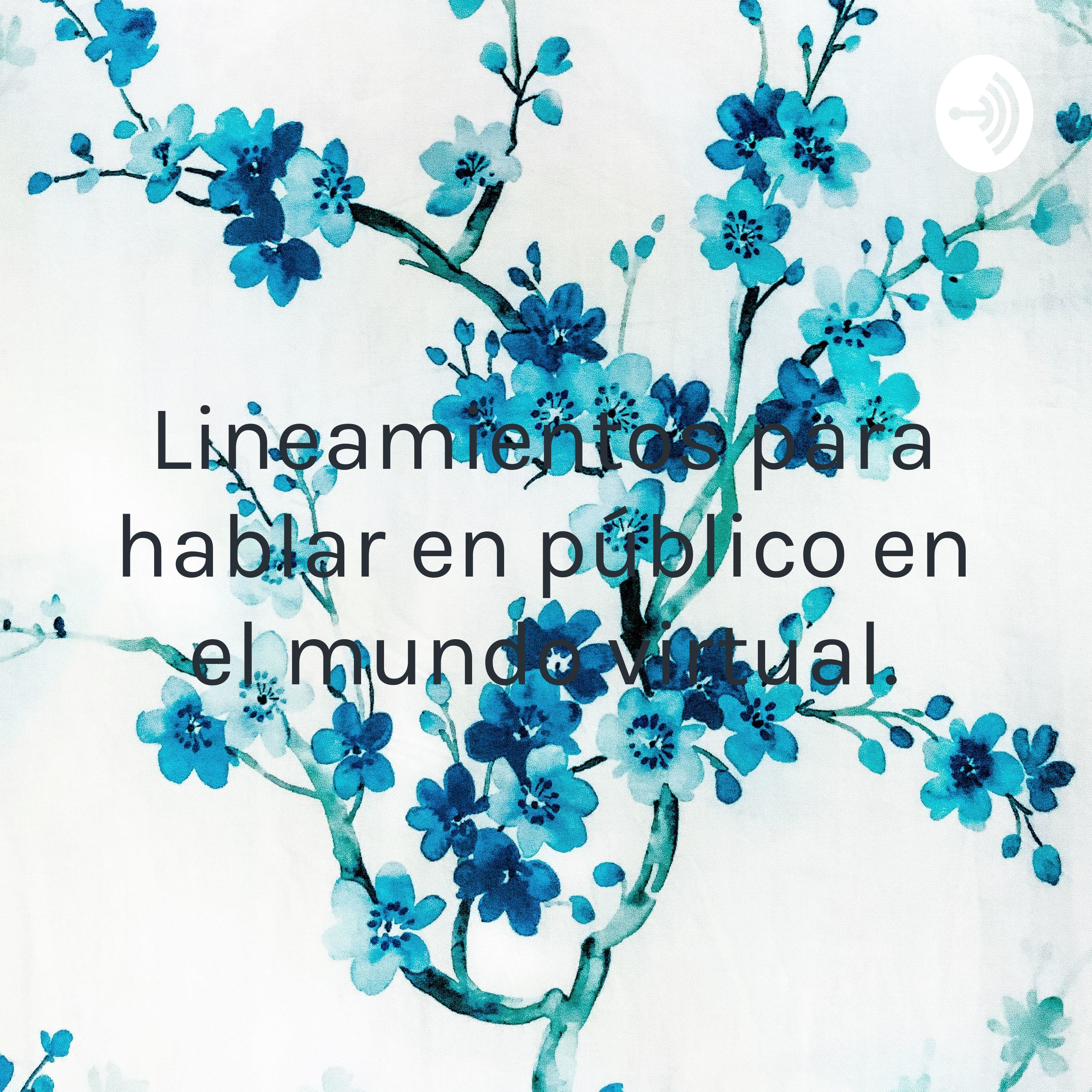 Lineamientos para hablar en público en el mundo virtual.