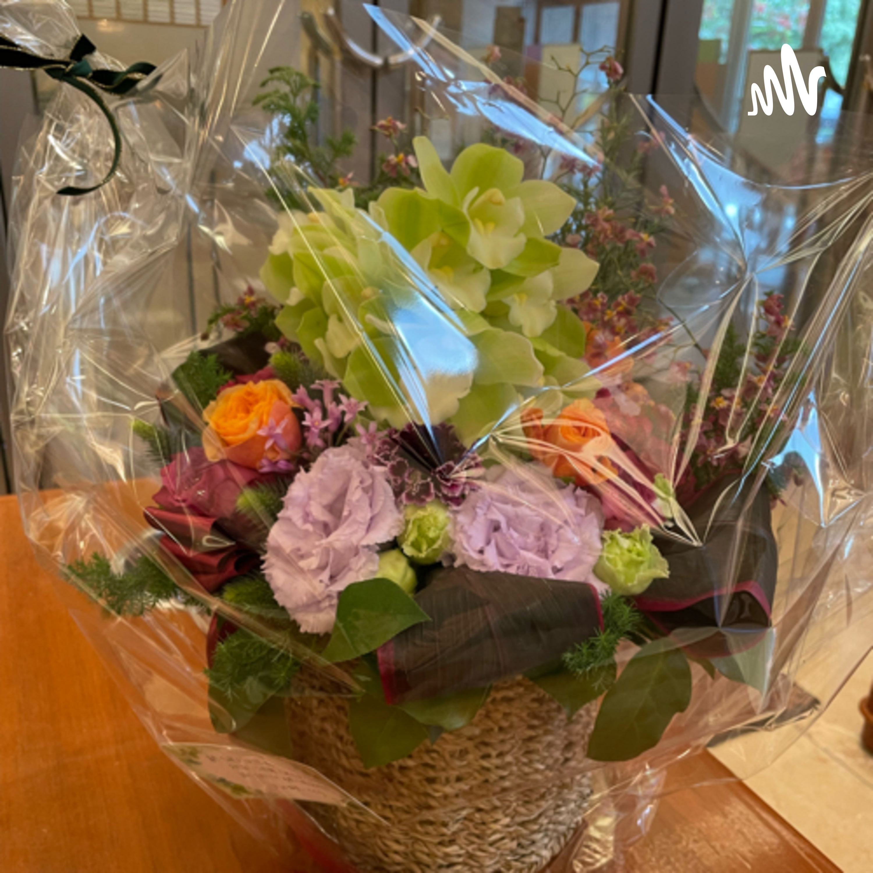 Takayoshi Wanami channel cover art