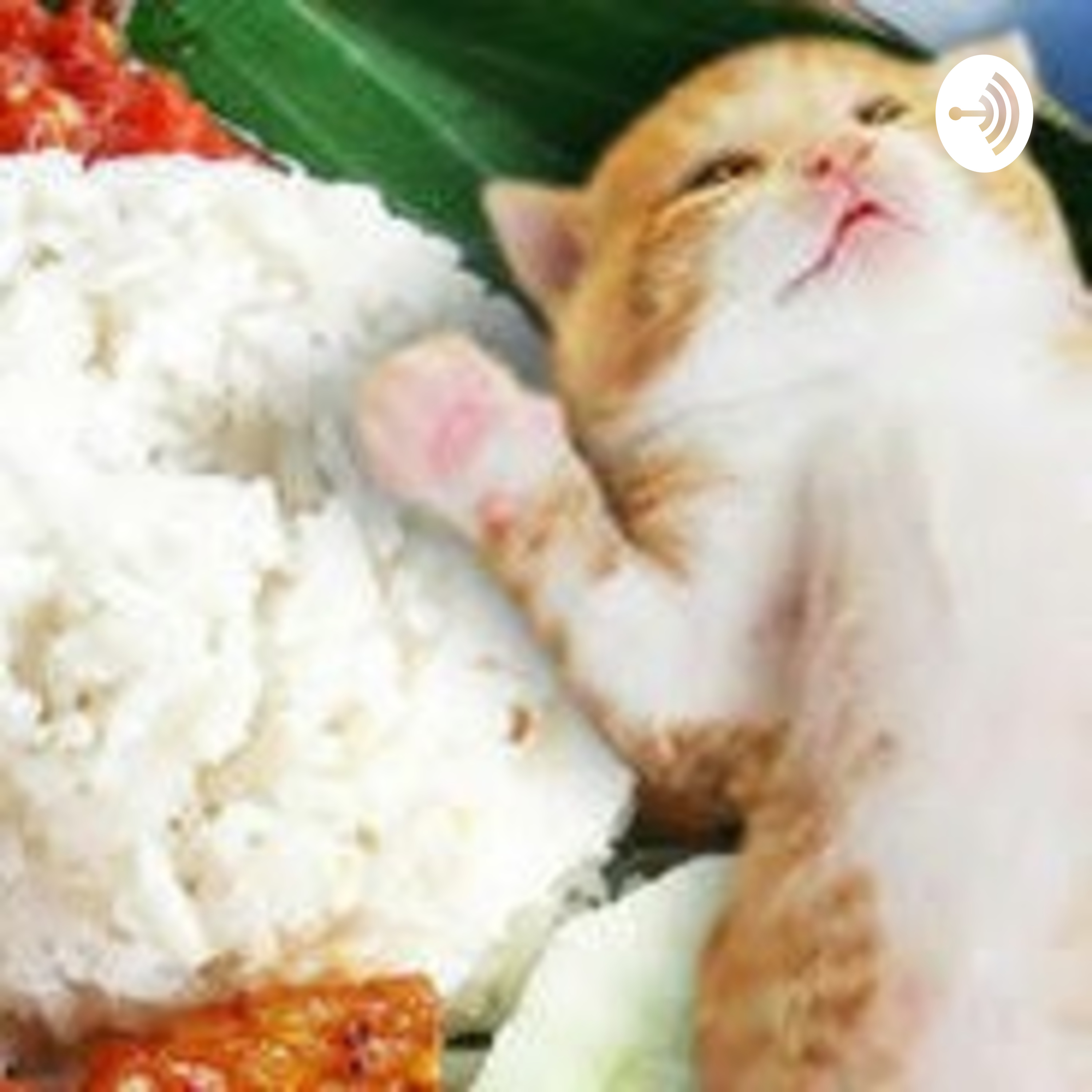 sego kucing
