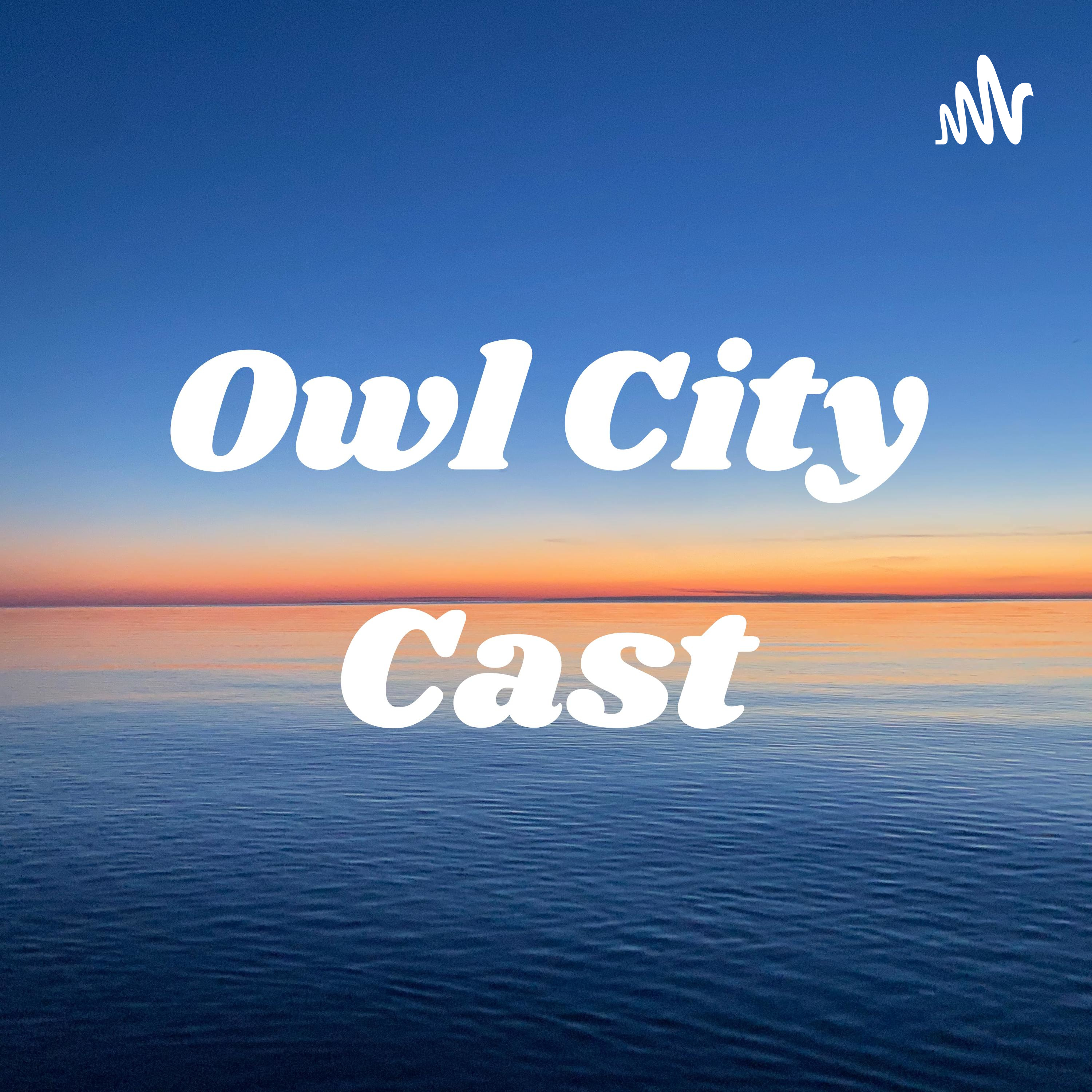 Owl City Cast
