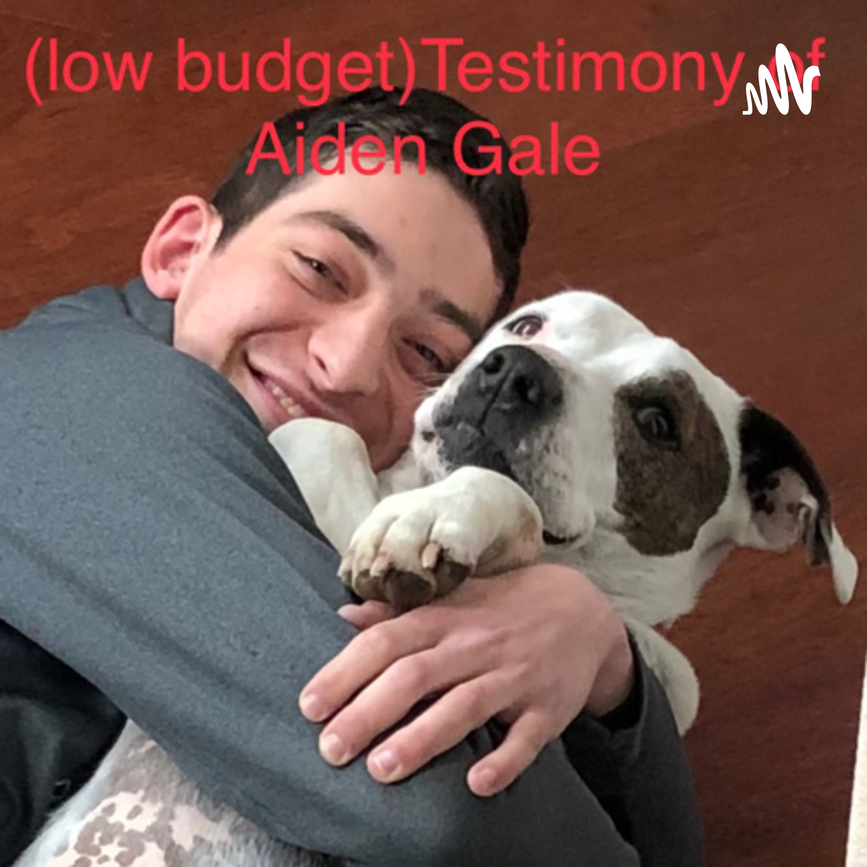 Testimony of Aiden Gale
