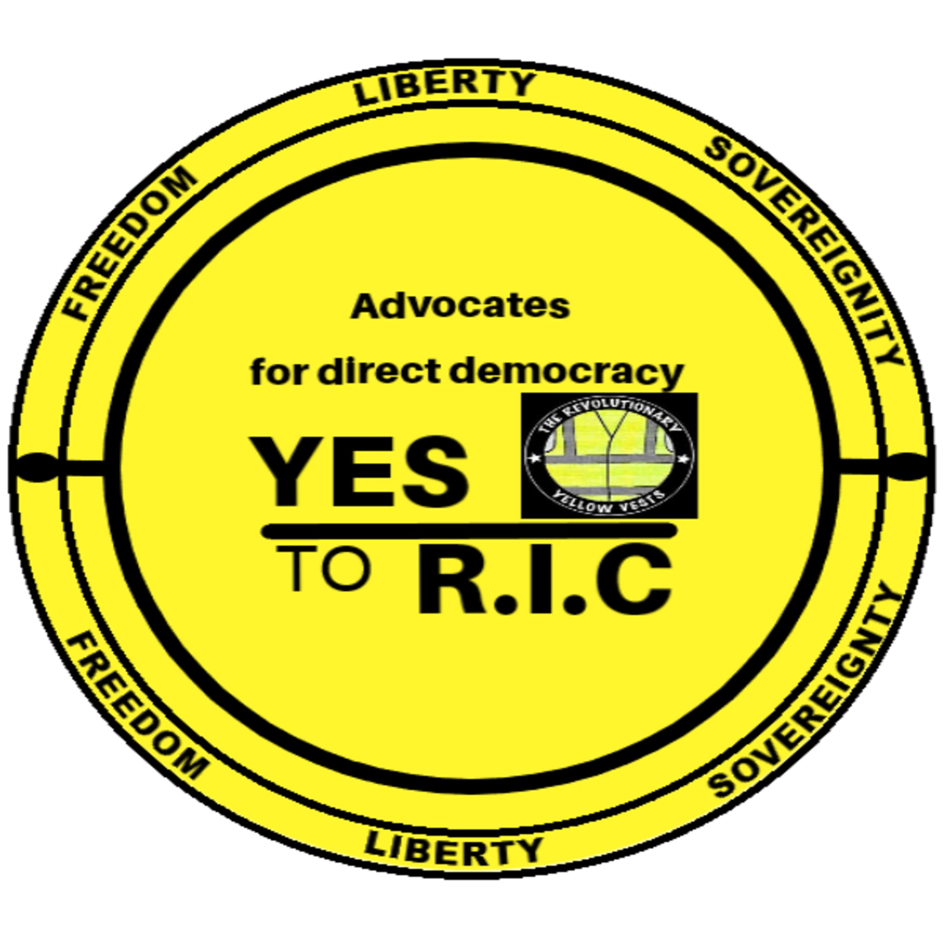 Bolivian election crisis ( Representative democracy failures )