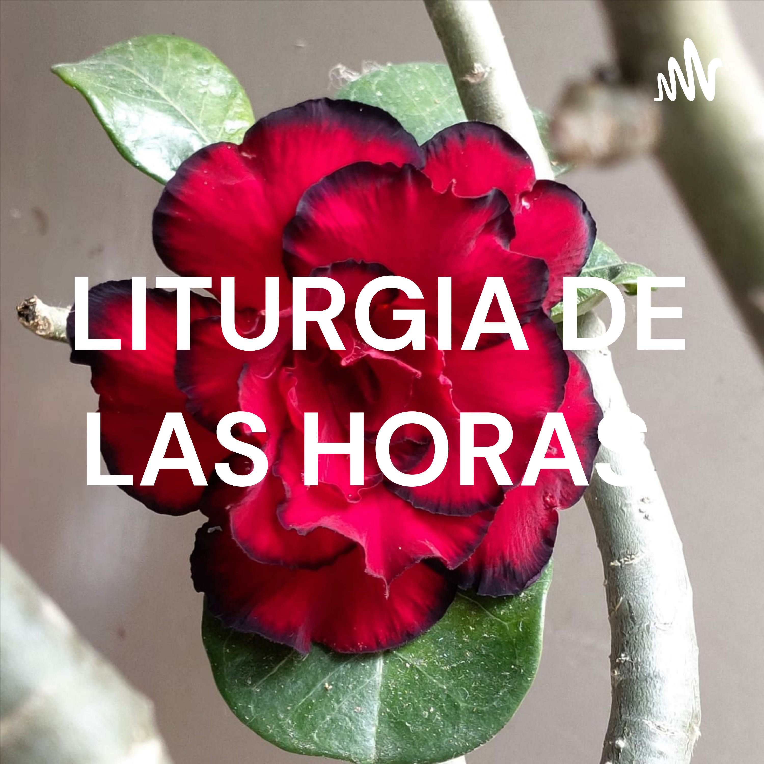 LITURGIA DE LAS HORAS