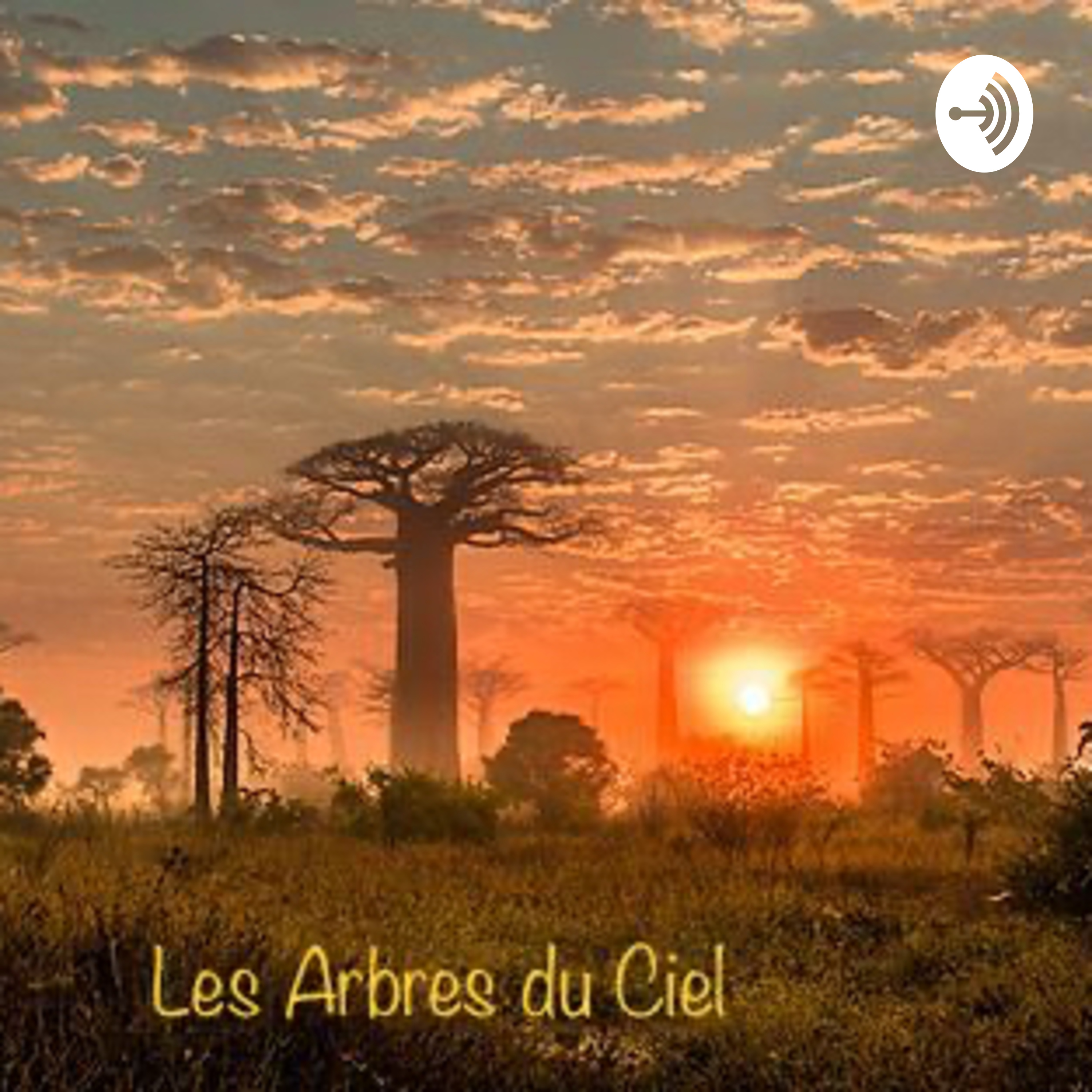 Les arbres du ciel