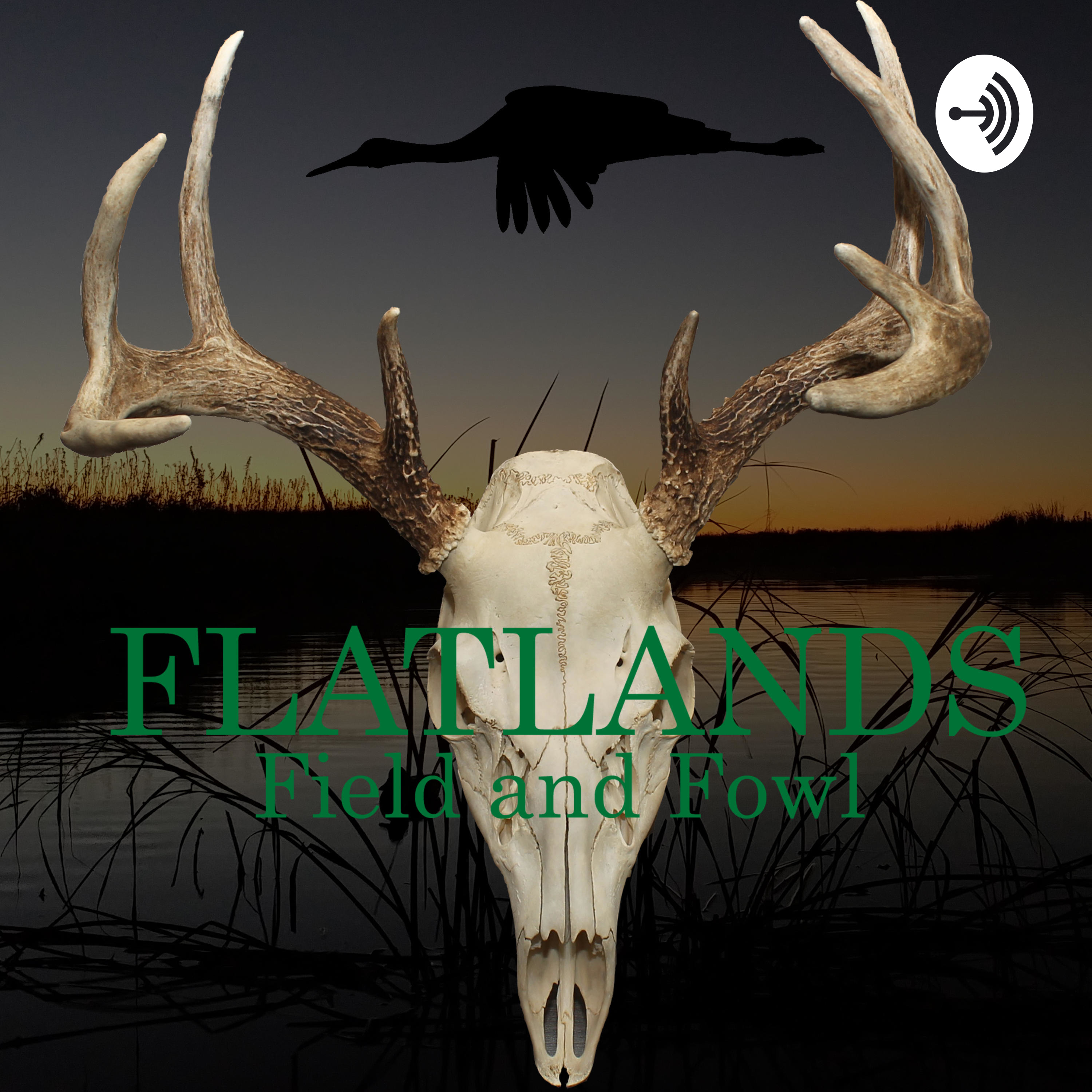 Ep 17: When that doe on the field turns into a monster buck!