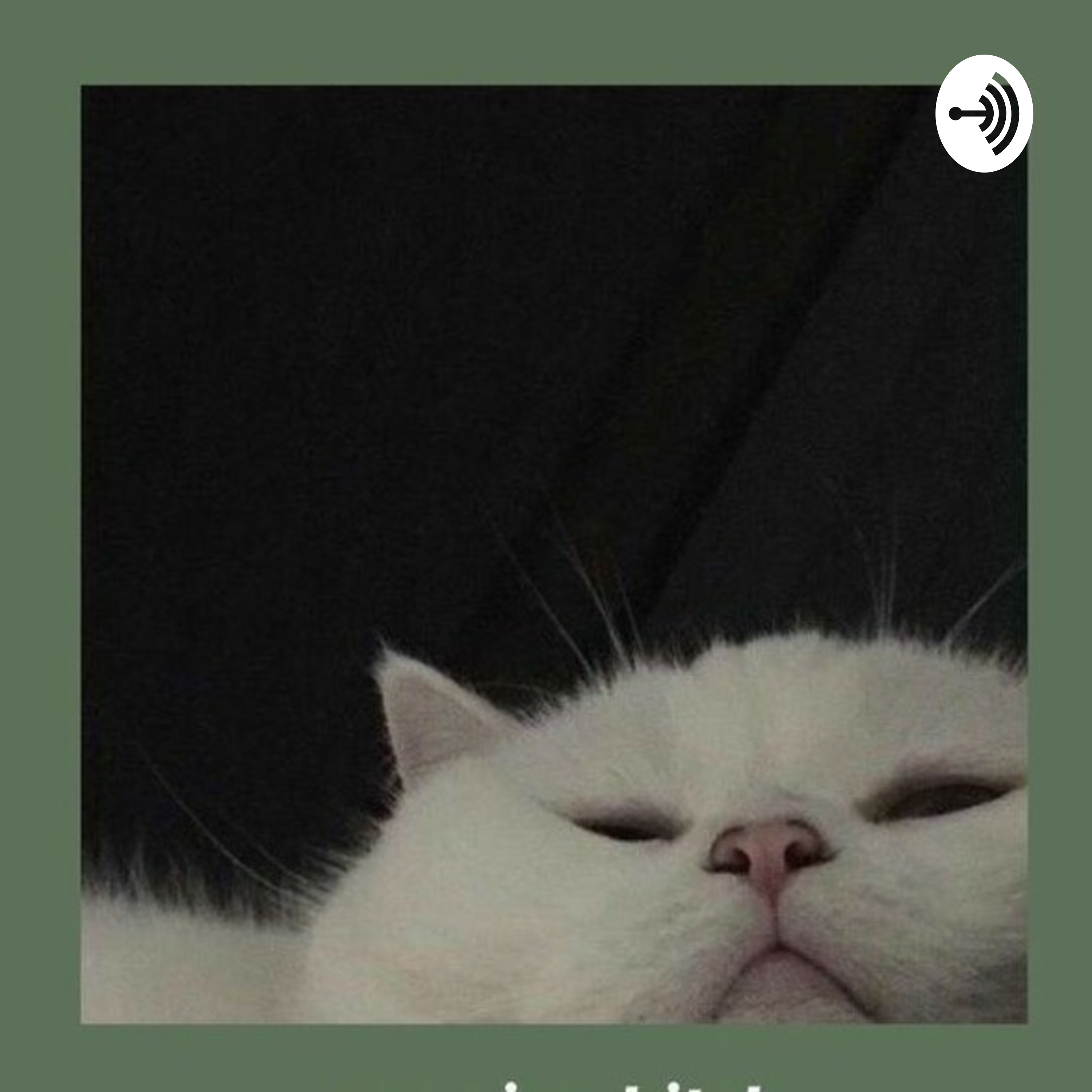 Pop Musics 2019-2020 podcast artwork