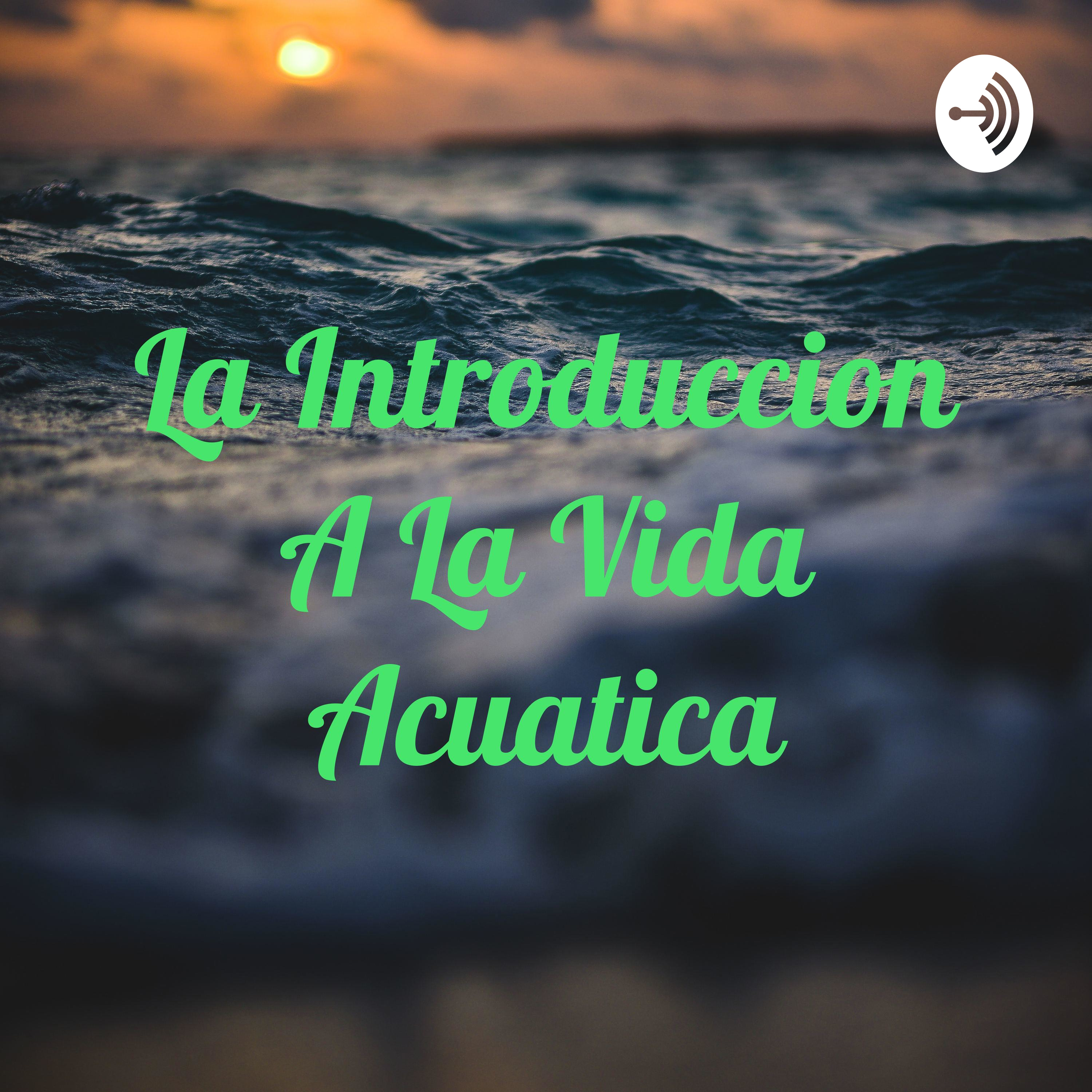 La Introduccion A La Vida Acuatica