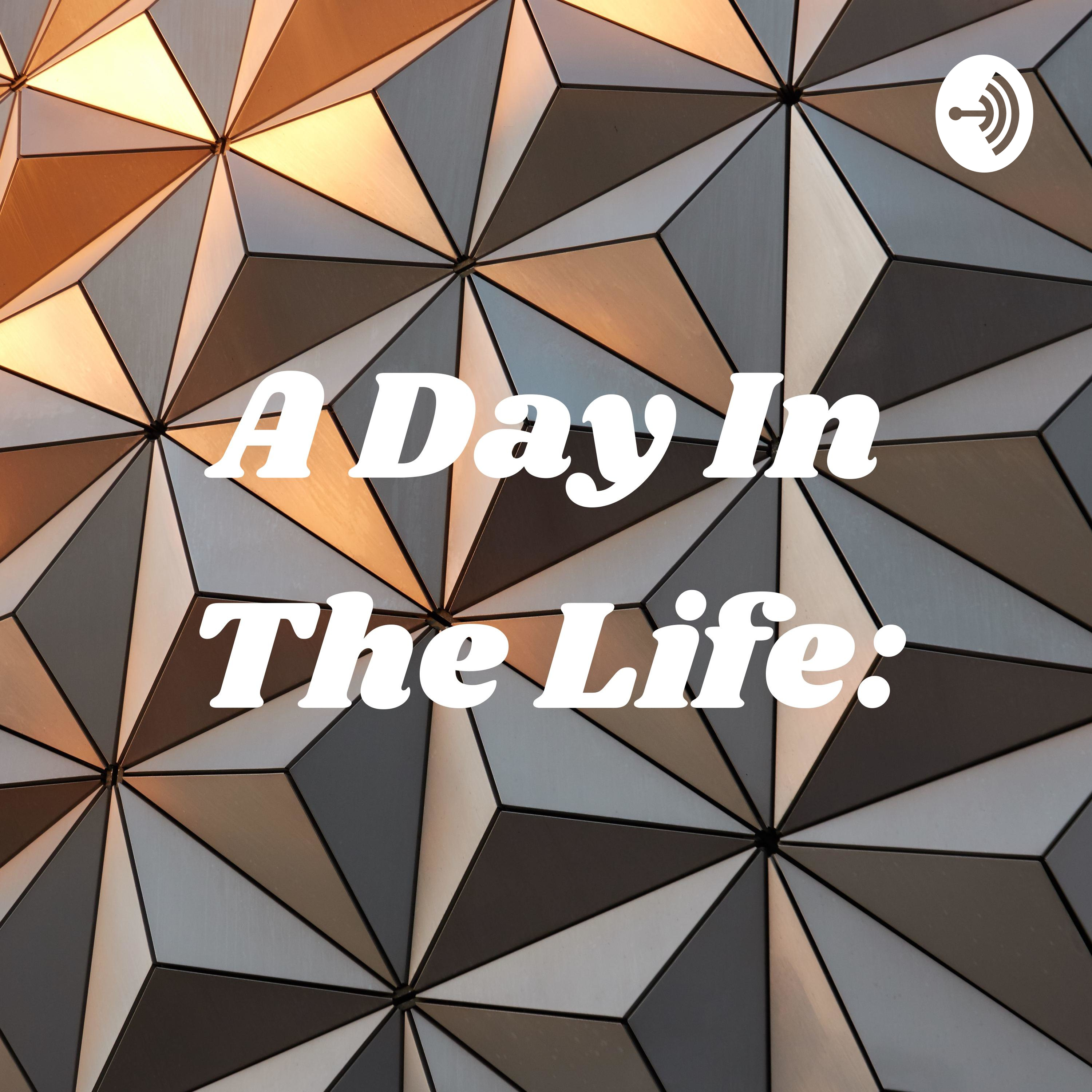 A Day In The Life: