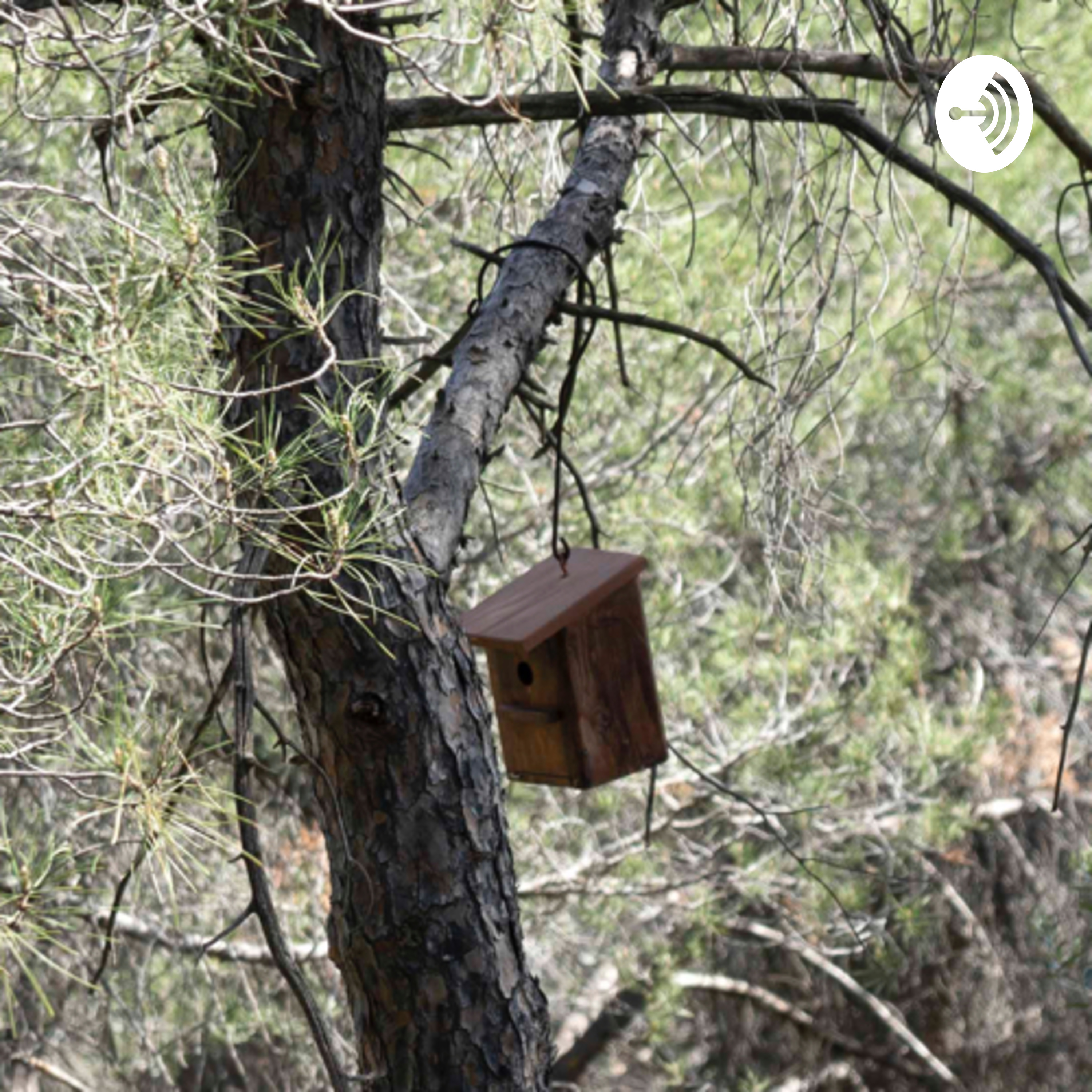 Visualización sobre la naturaleza