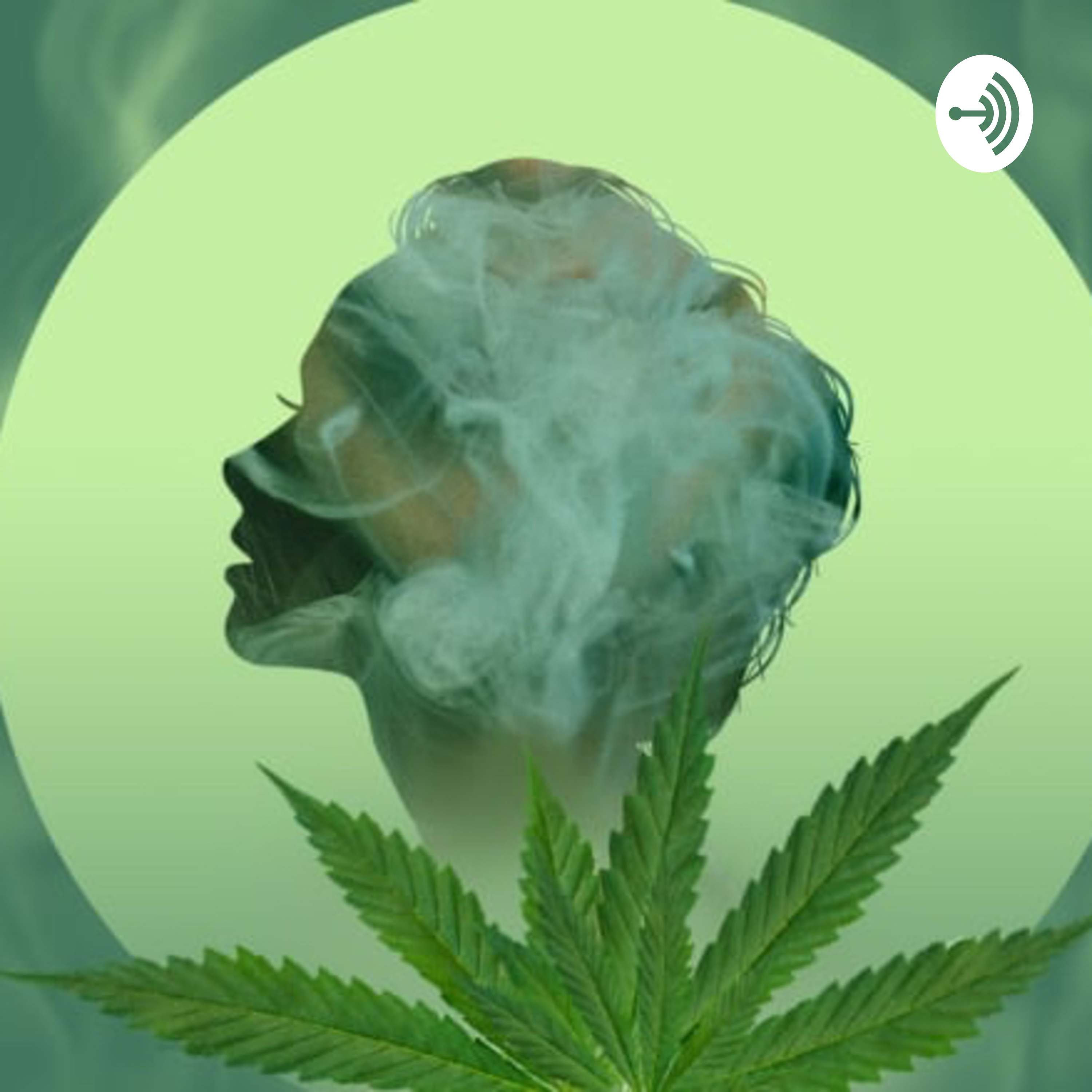 TheHotBox podcast artwork