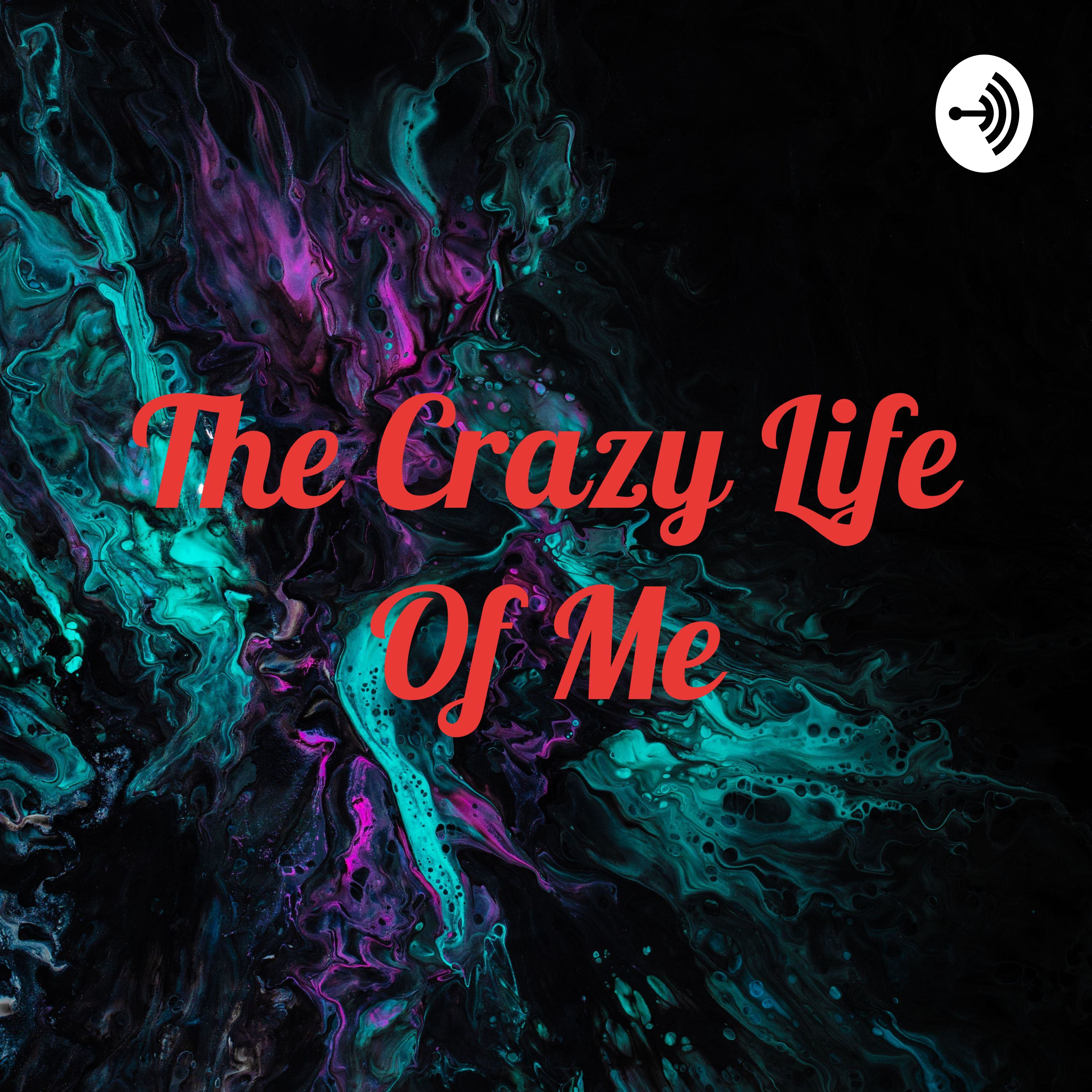 The Crazy Life Of Me