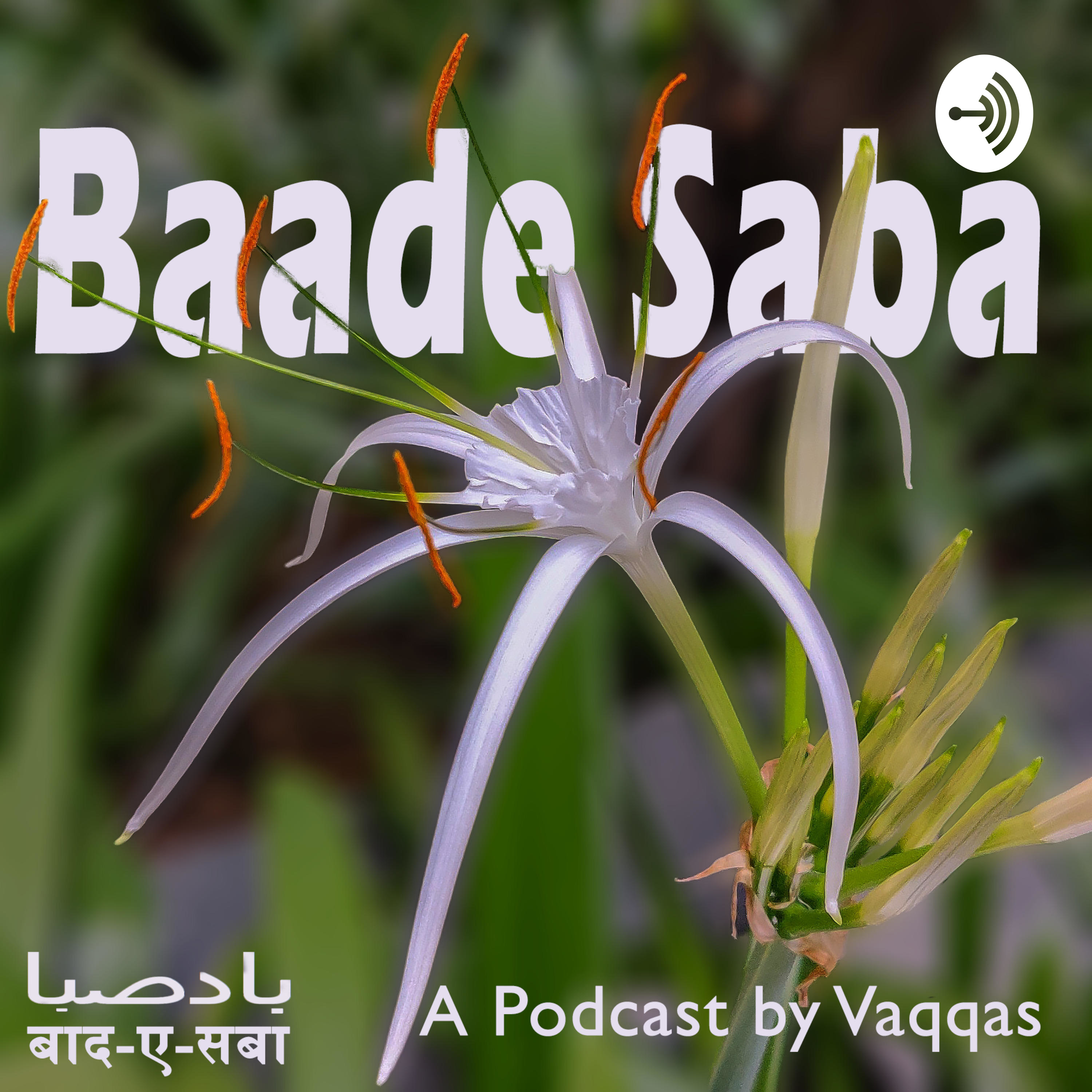 Baade Saba