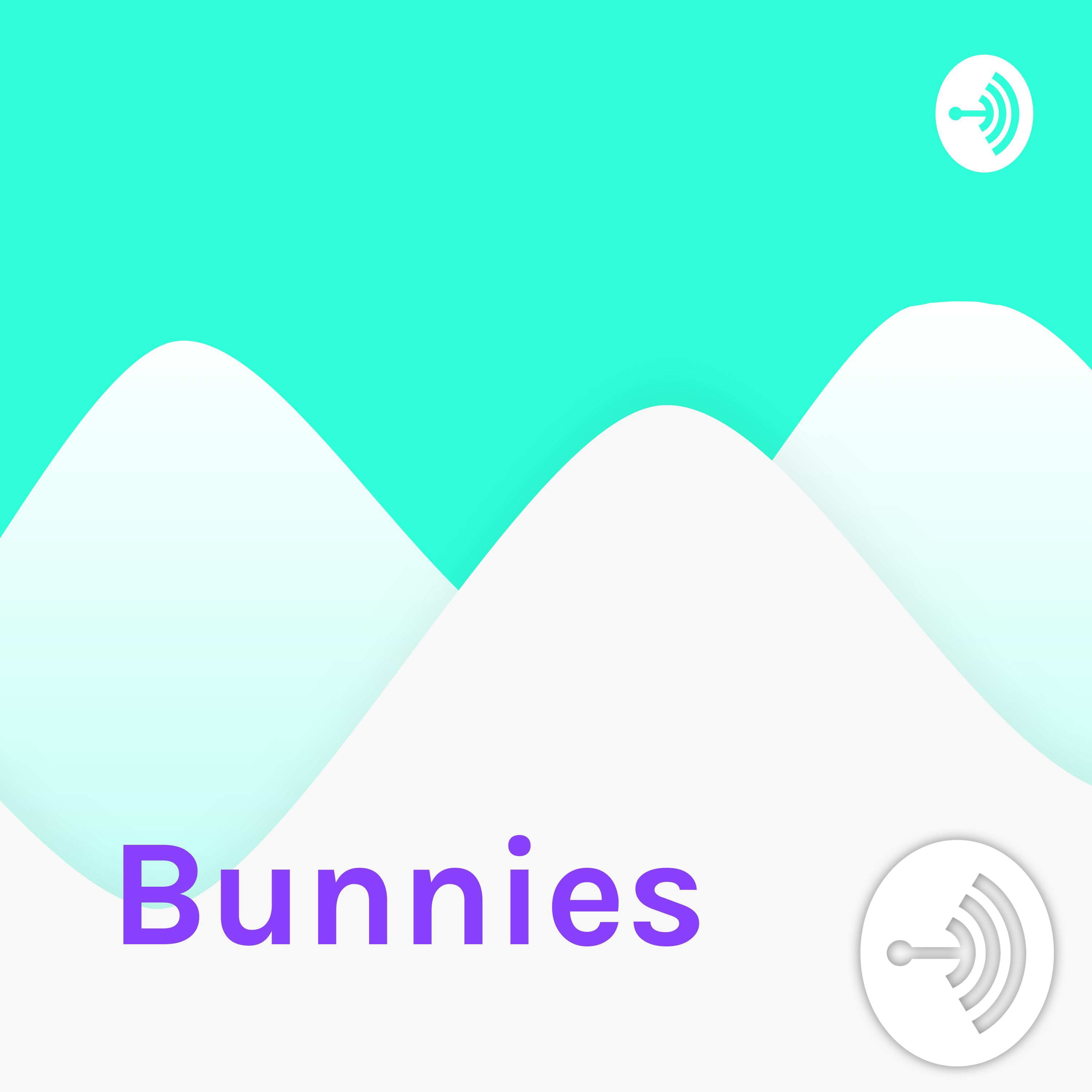 Bunnies 