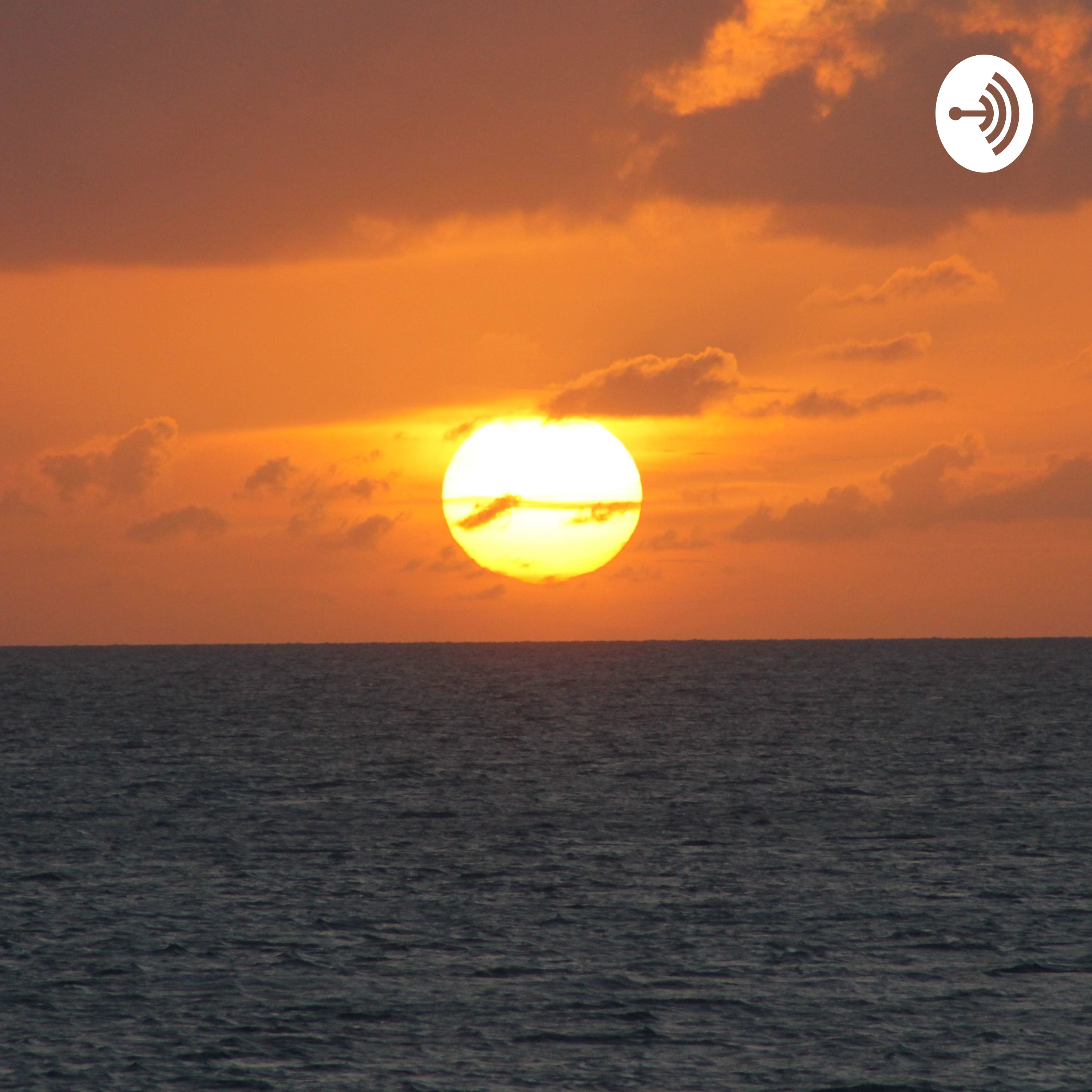 EVERYTHING UNDER THE SUN