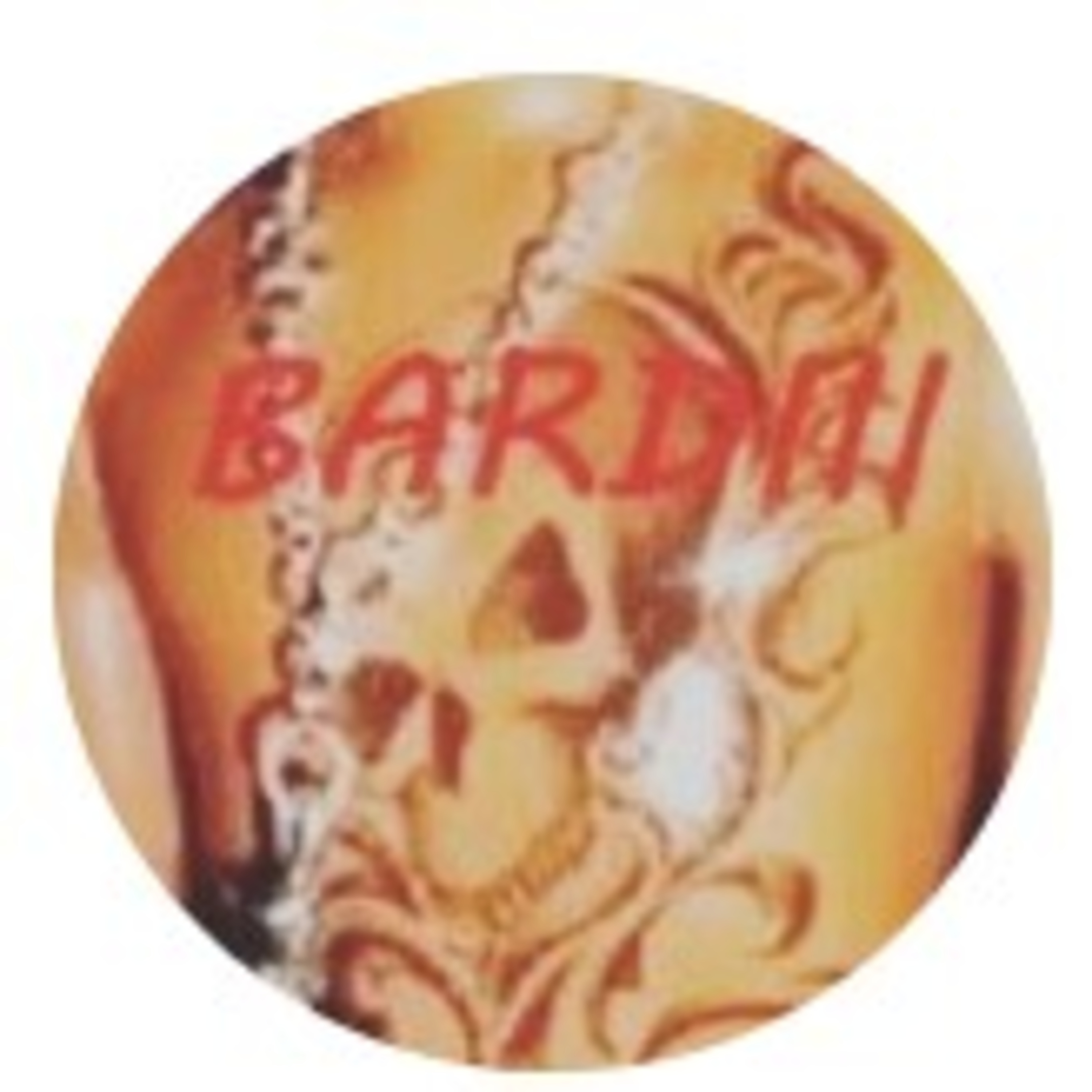 BardiC313