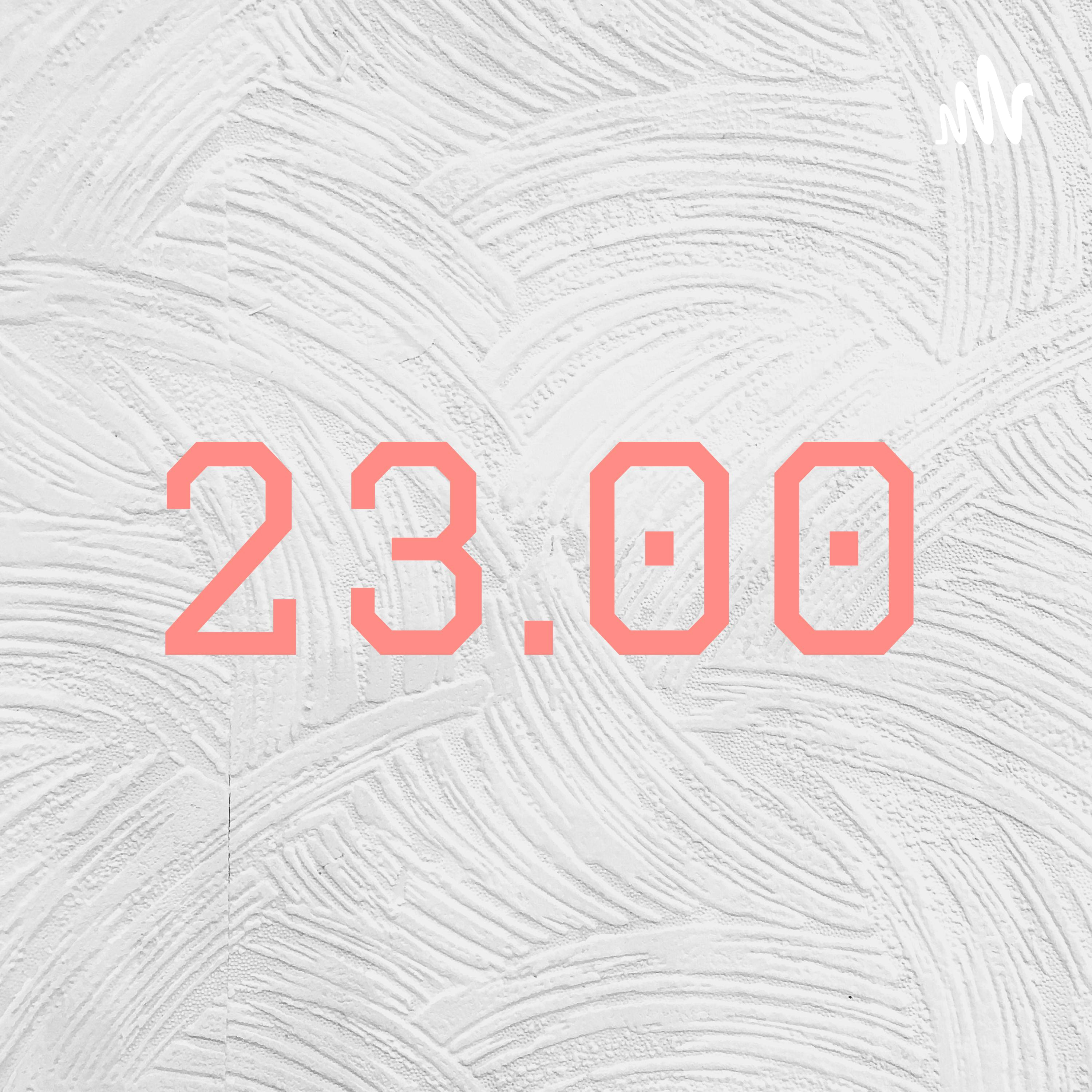 23
