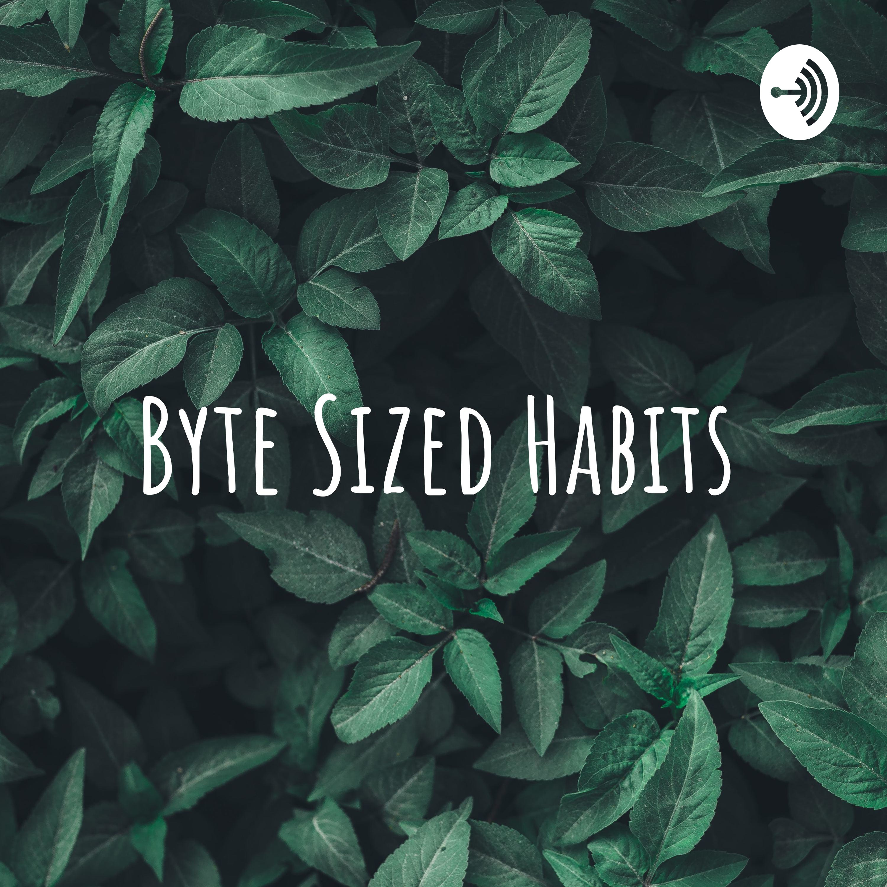Byte Sized Habits