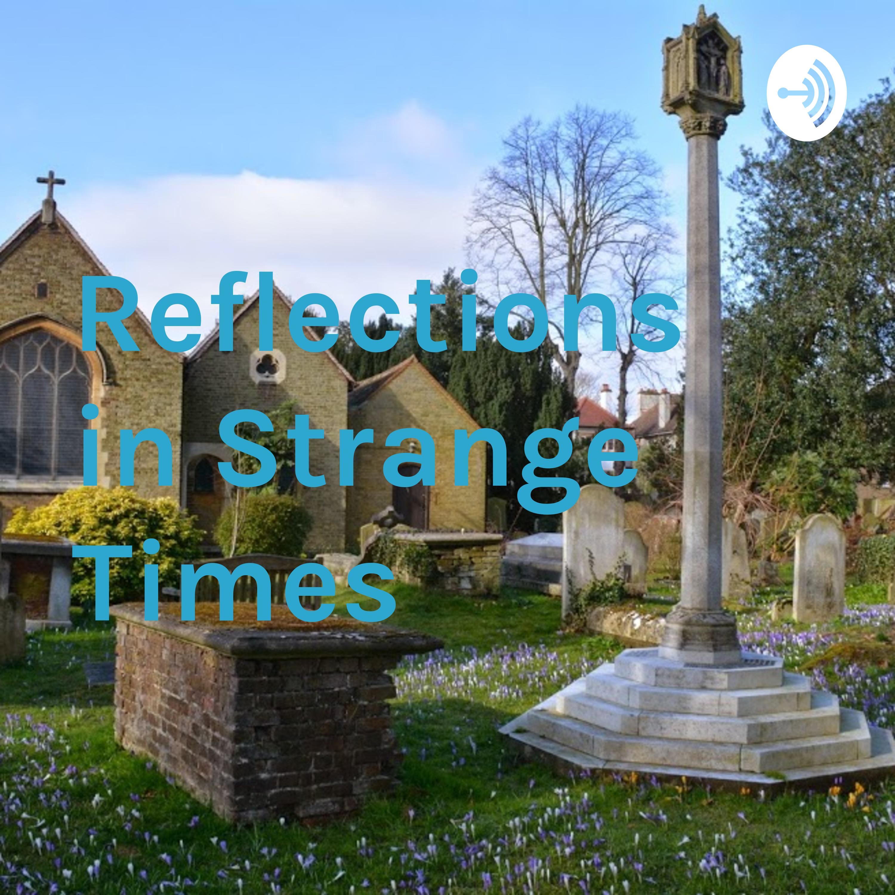 Reflections in Strange Times