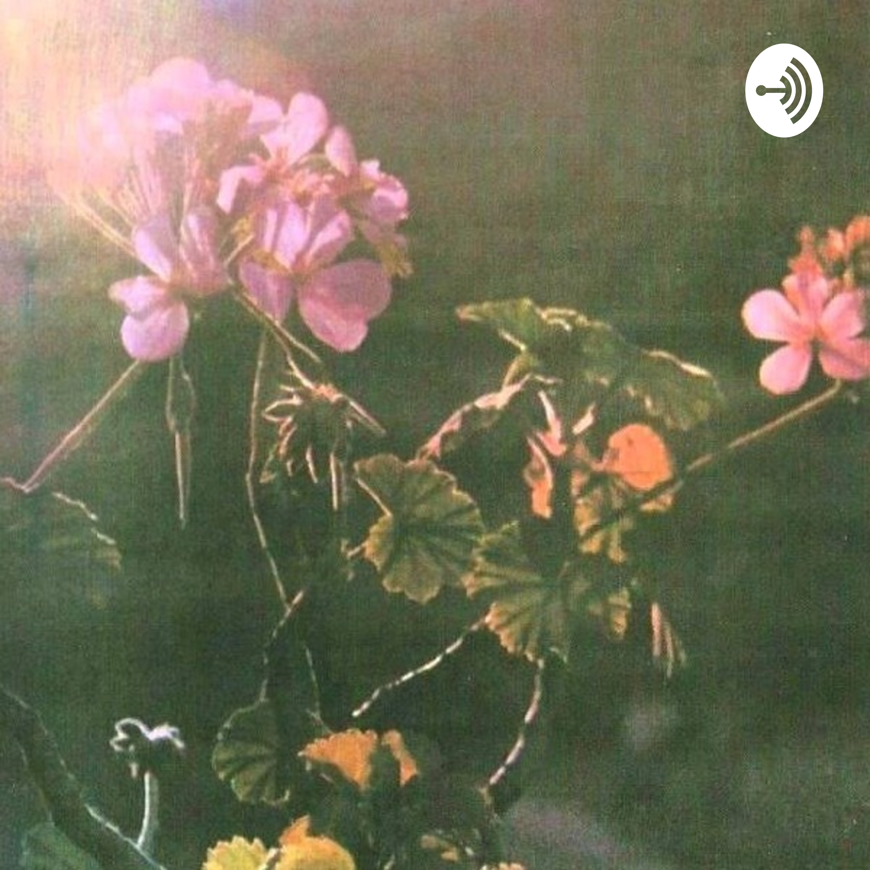 Libros para los días de la vida podcast artwork