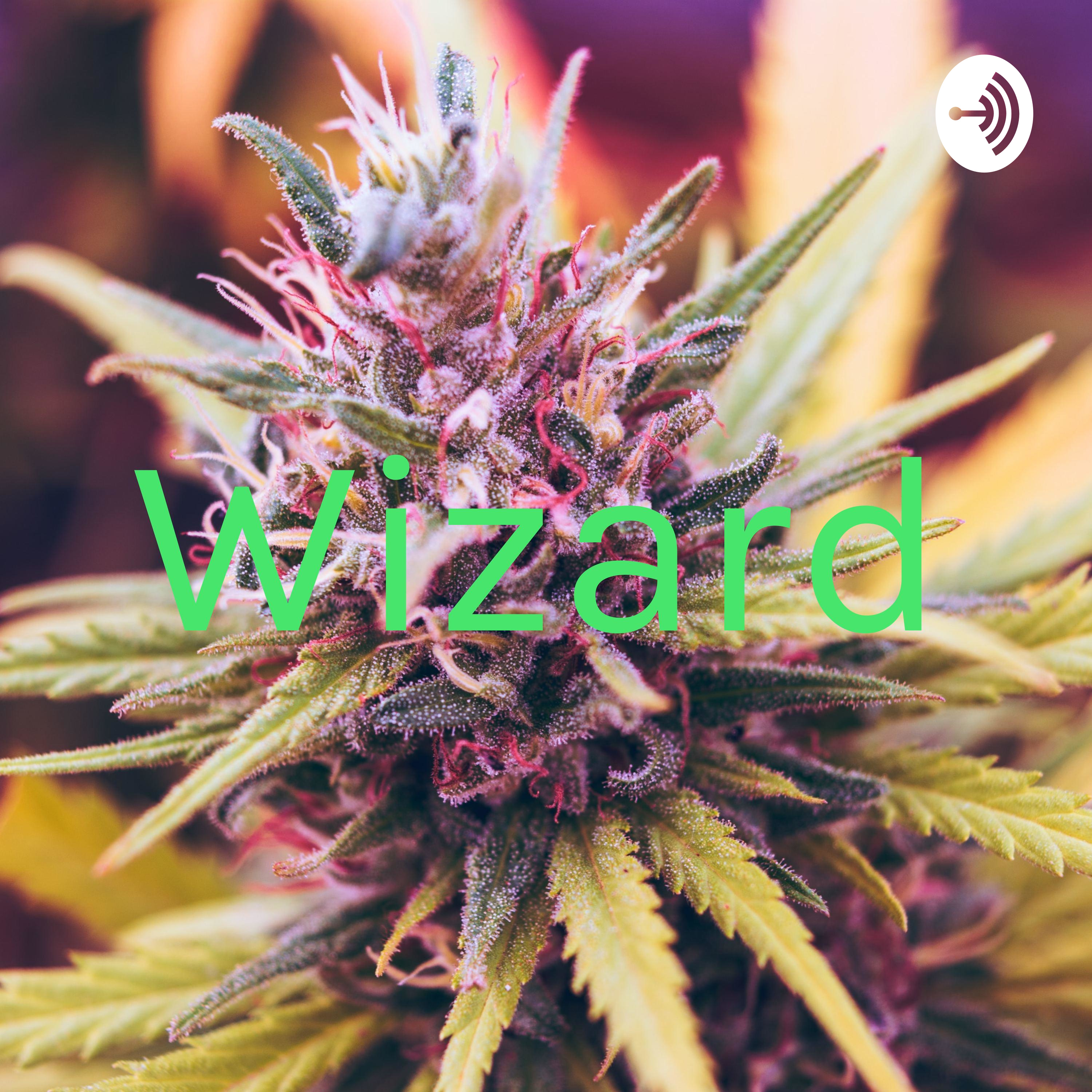 Wizard