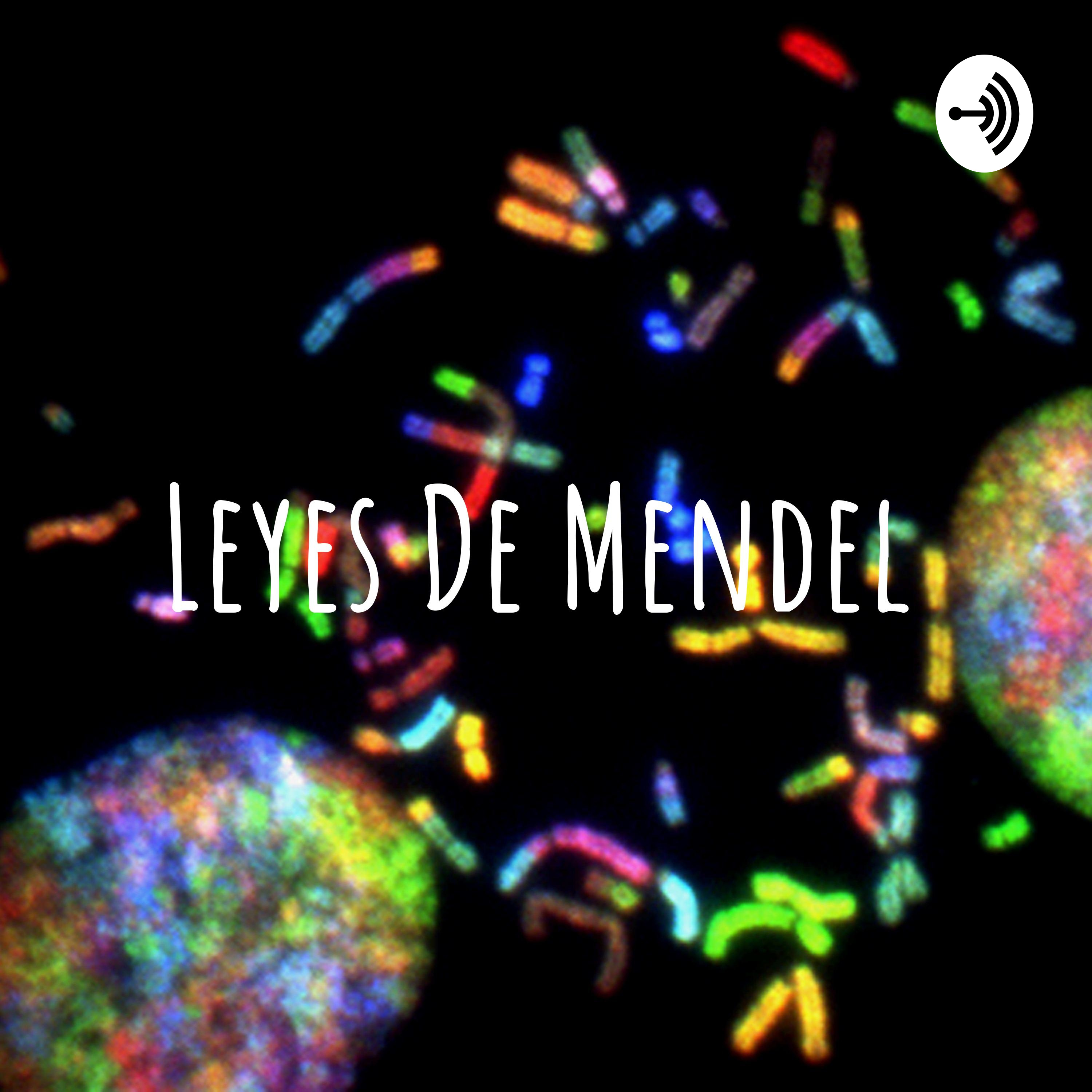 Leyes de mendel 