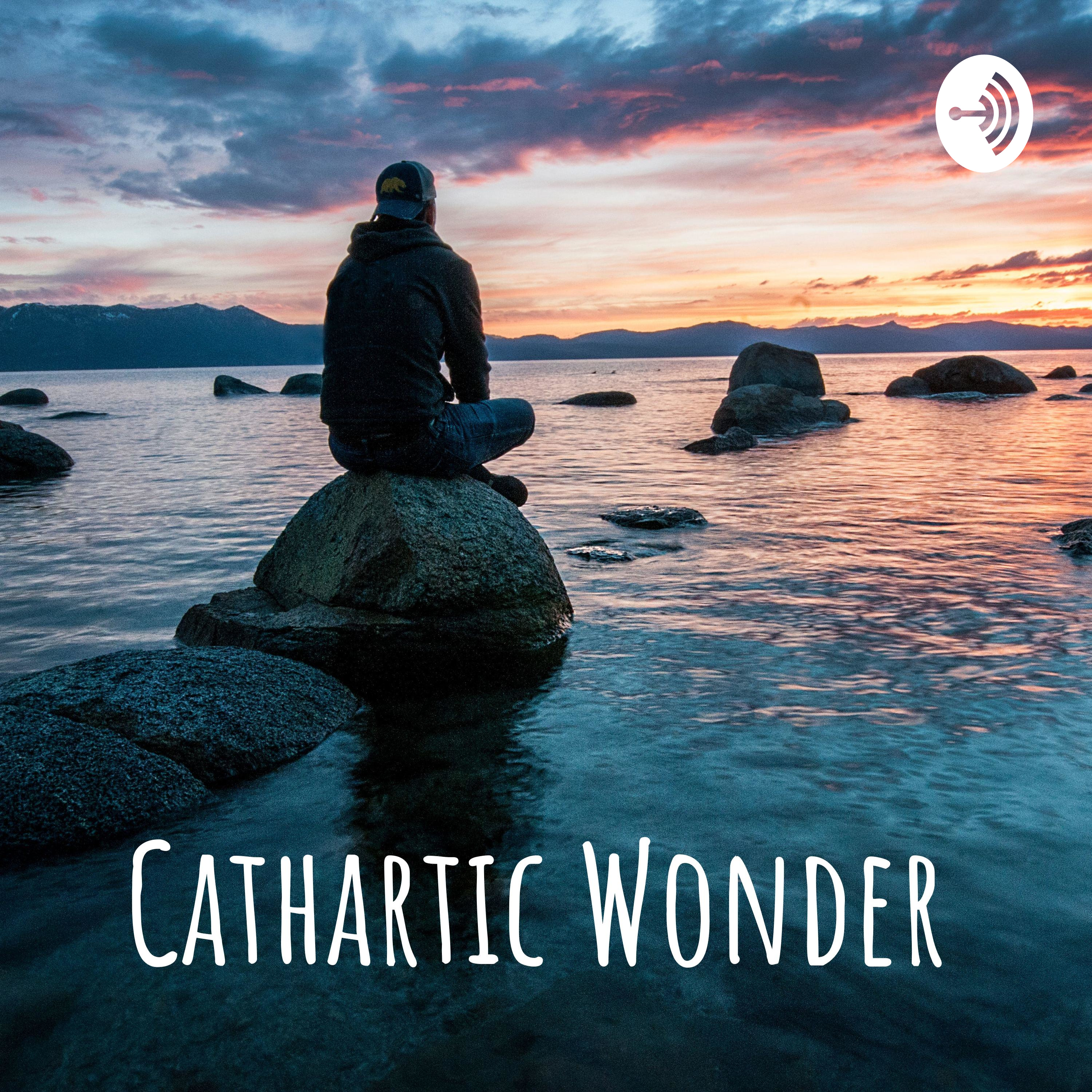 Cathartic Wonder