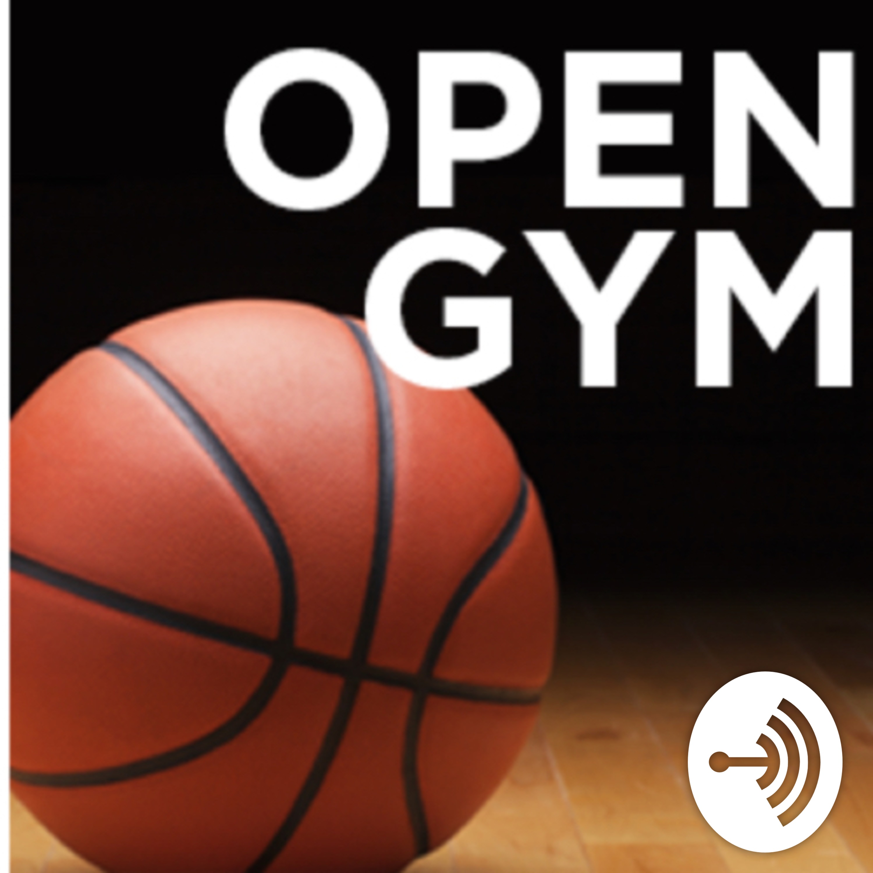 Open Gym