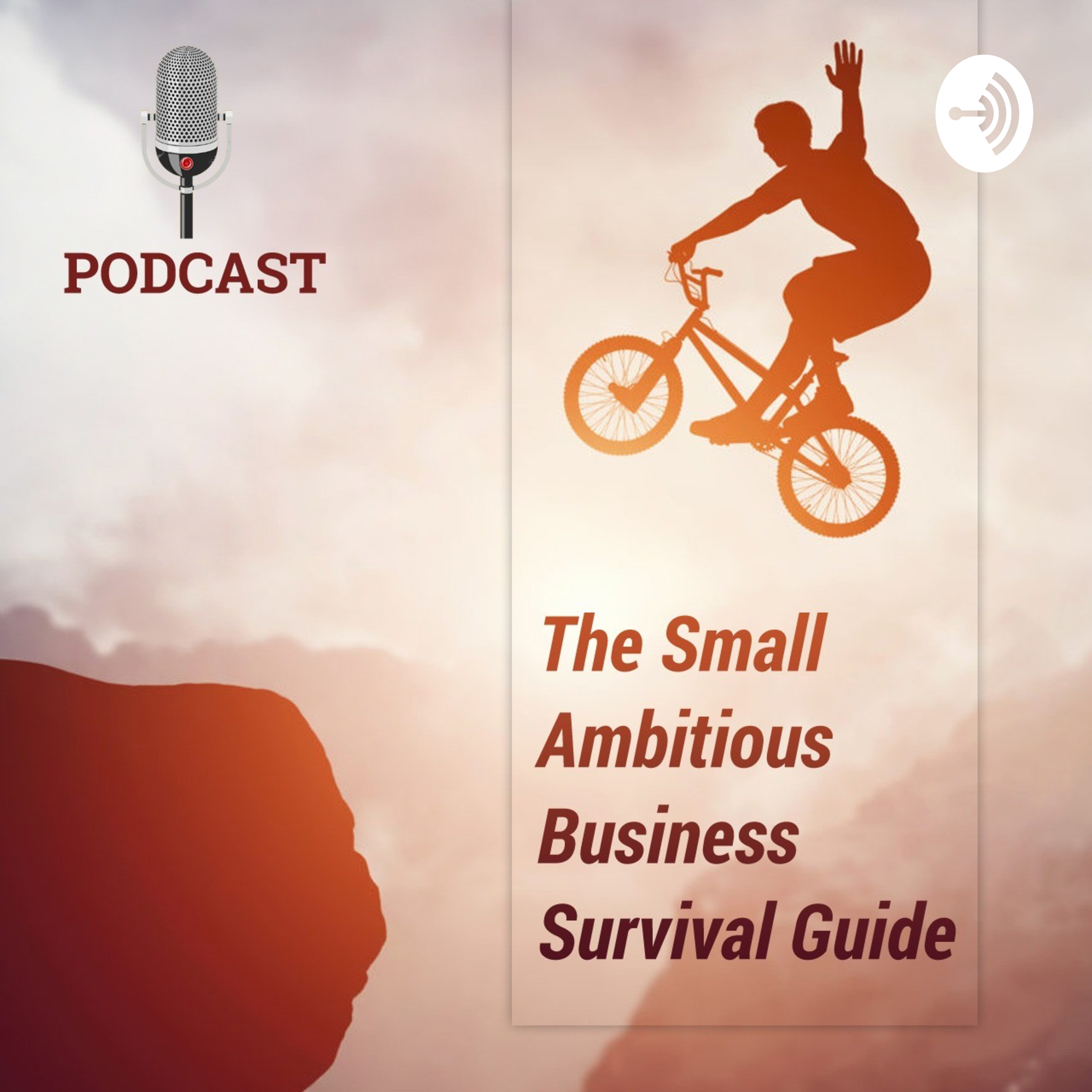 Small Ambitious Business Survival Guide