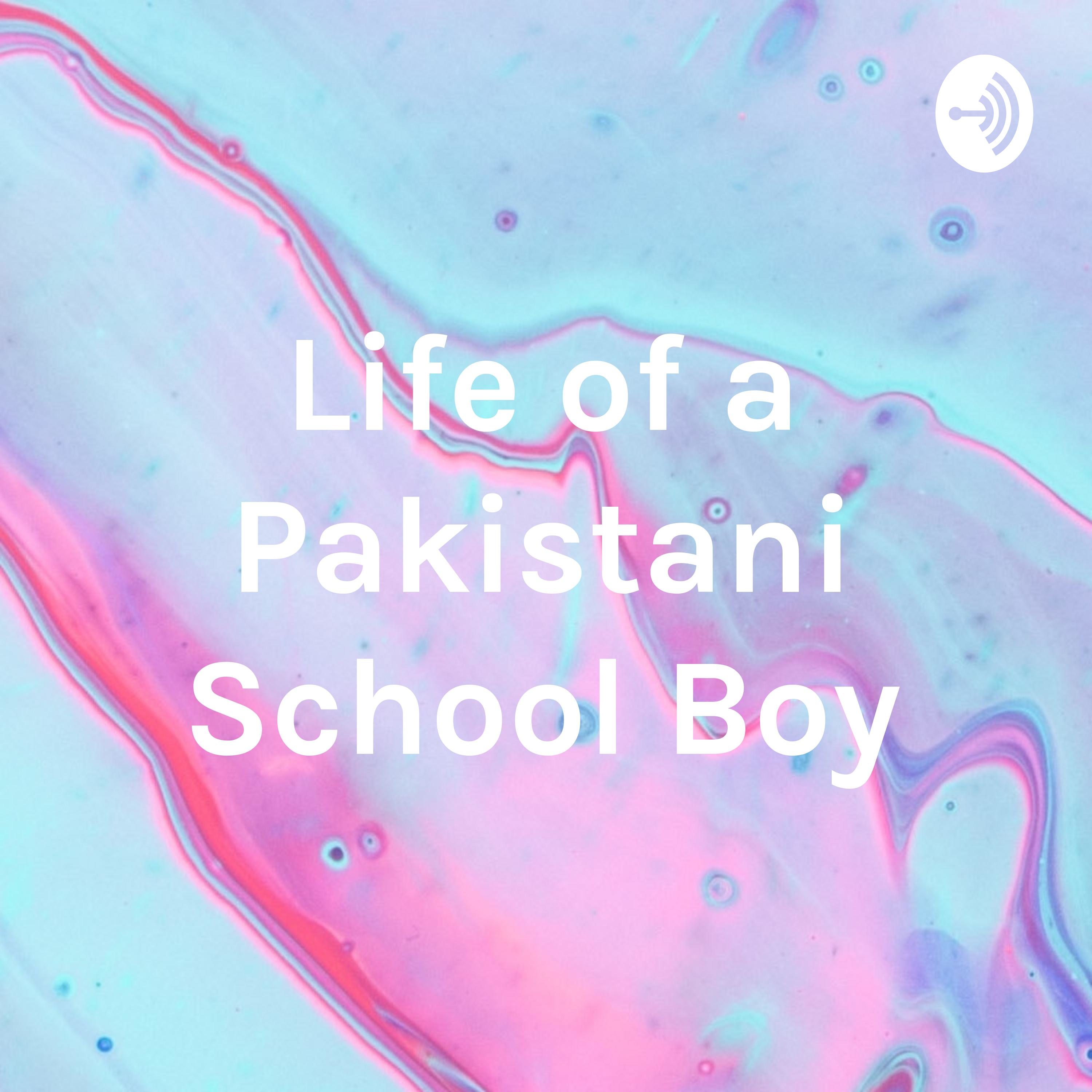 Life of a Pakistani Schoolboy