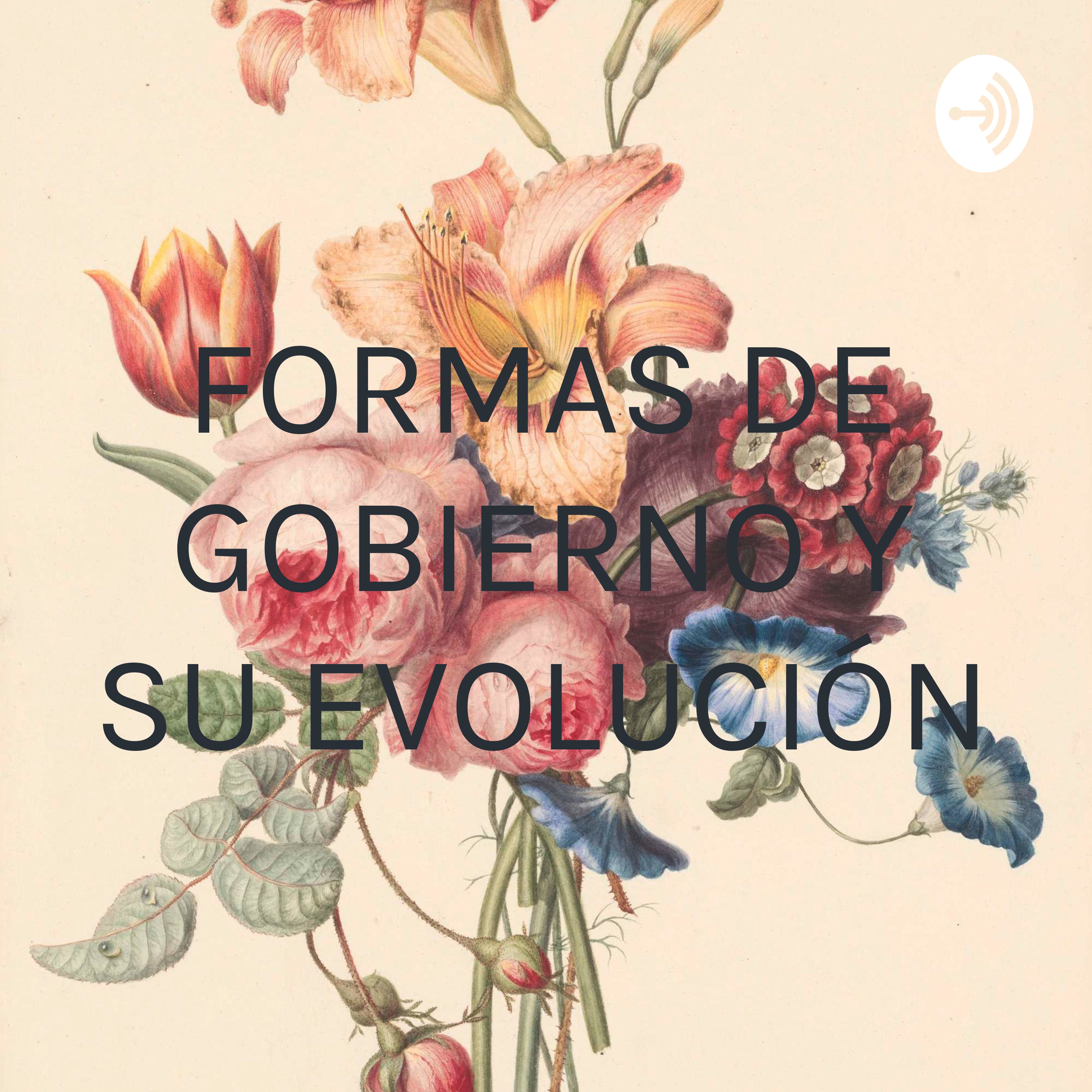 FORMAS DE GOBIERNO Y SU EVOLUCIÓN