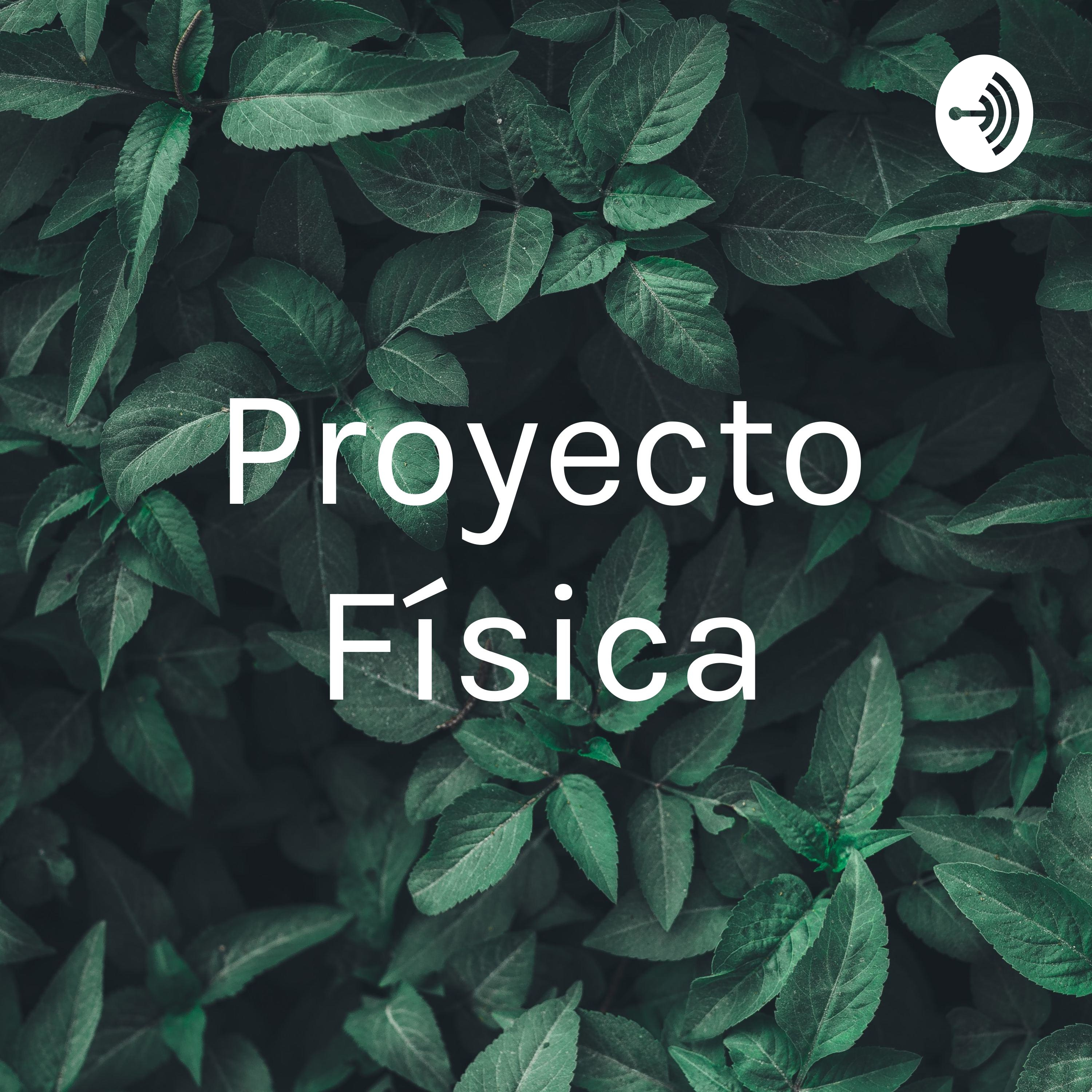 Proyecto Física