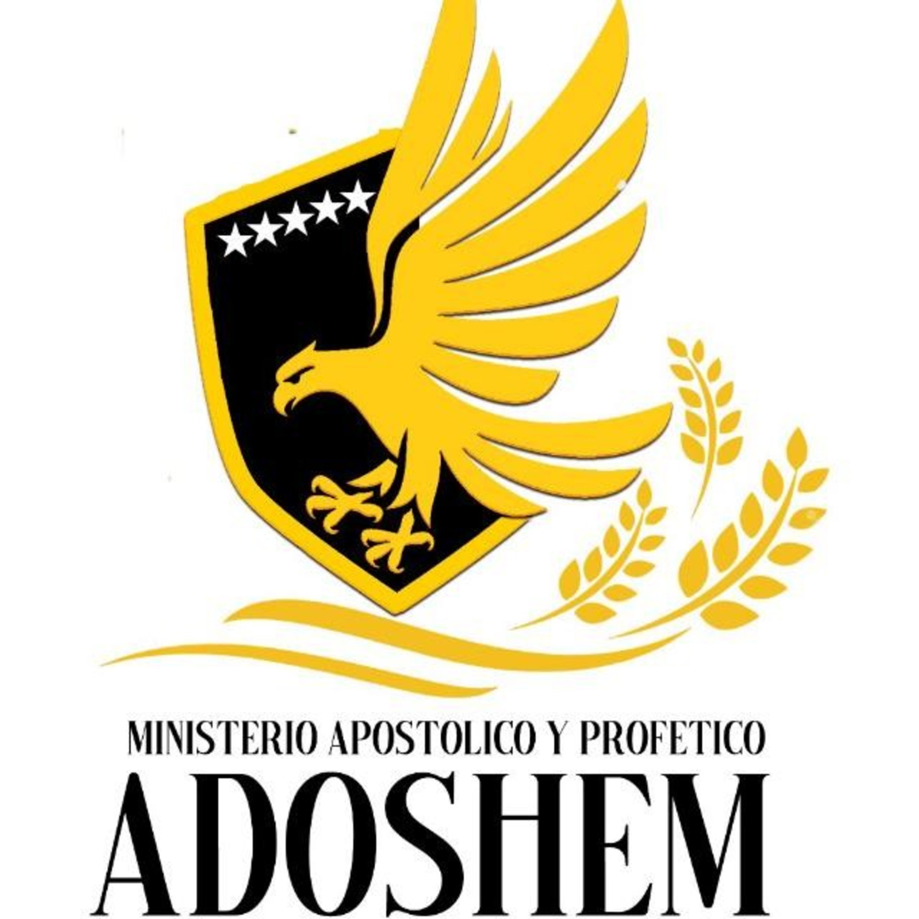 Una verdad existencial 
Pastor Yeremi Montiel 
Predica completa