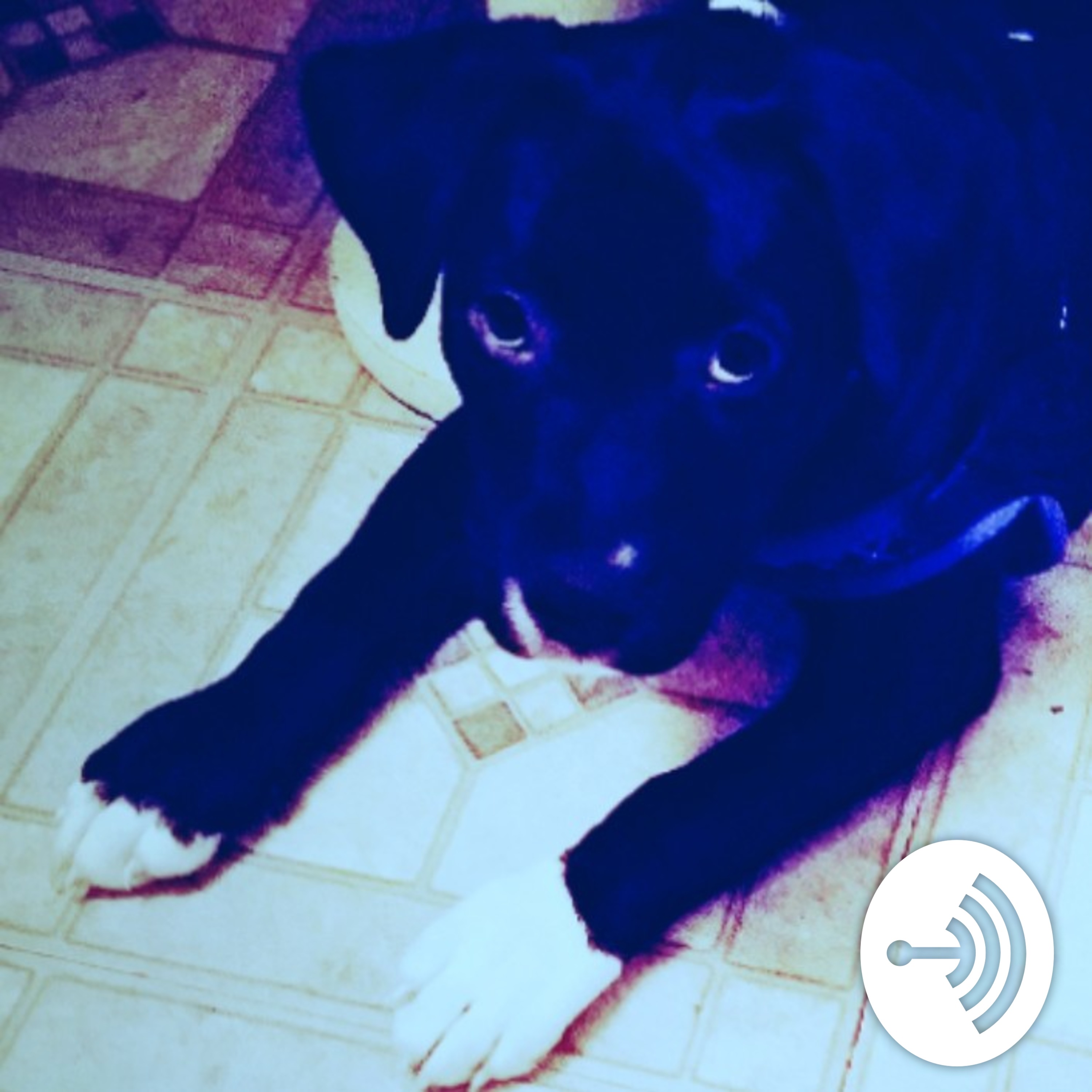 #TheDirtyHarryPodcast