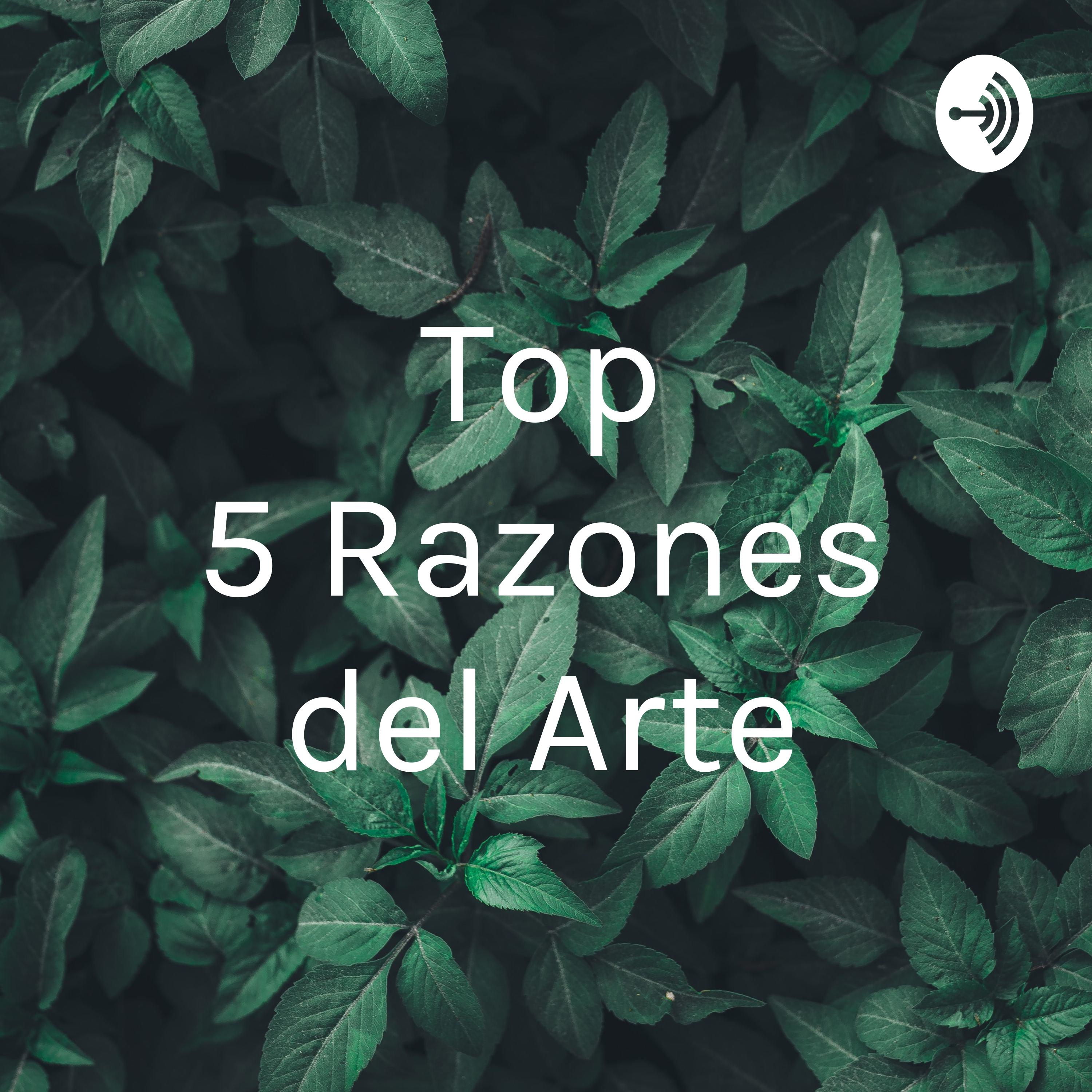 Top 5 Razones del Arte
