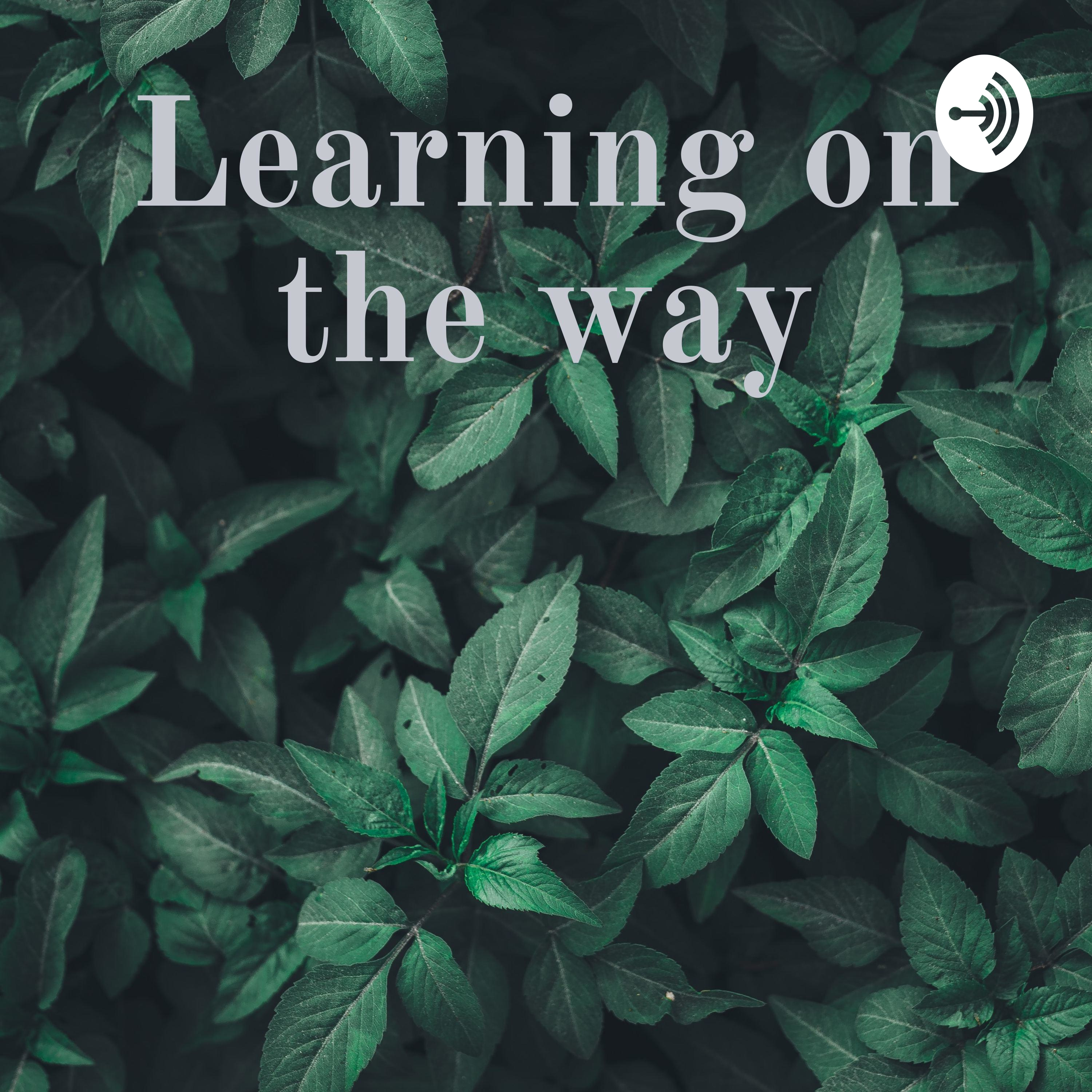Learning on the way