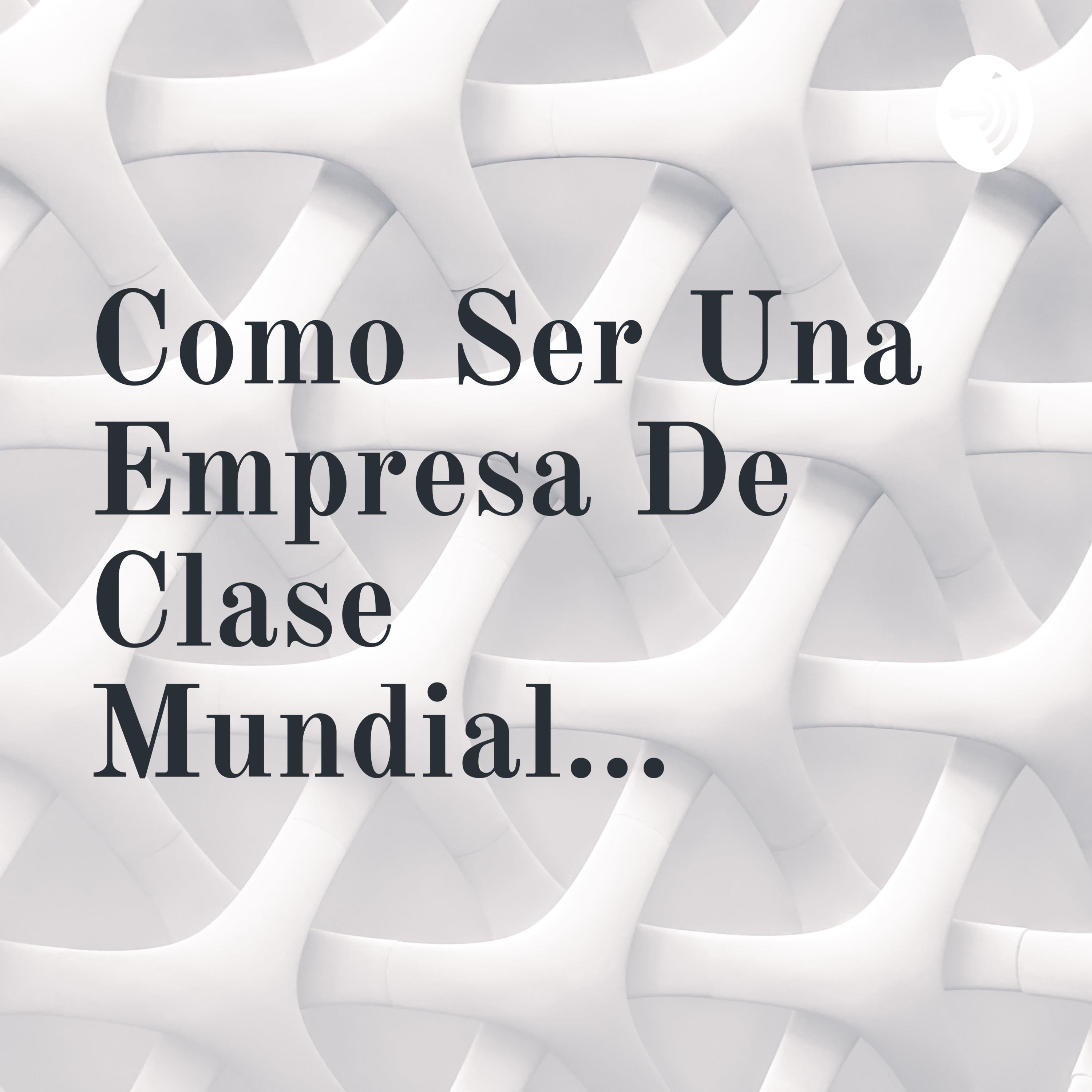Como Ser Una Empresa De Clase Mundial... 