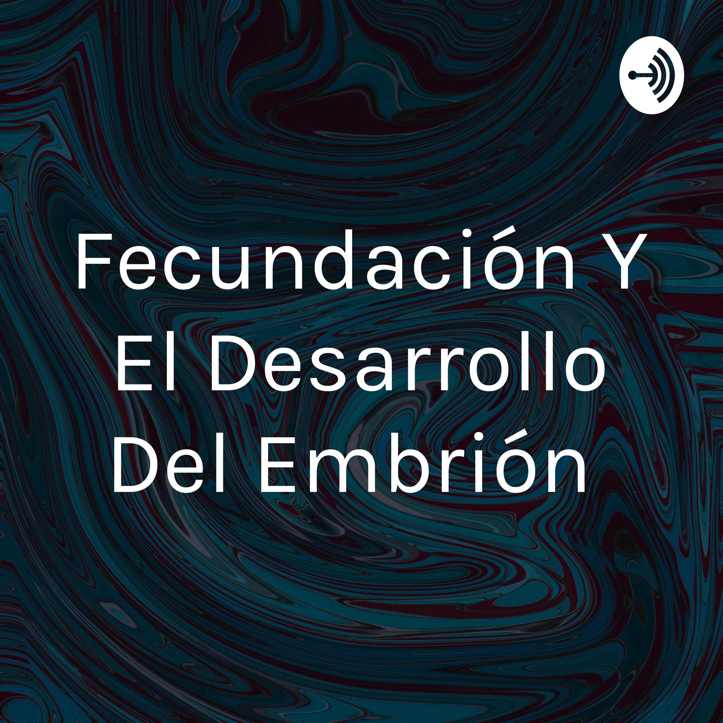 Fecundación Y El Desarrollo Del Embrión 