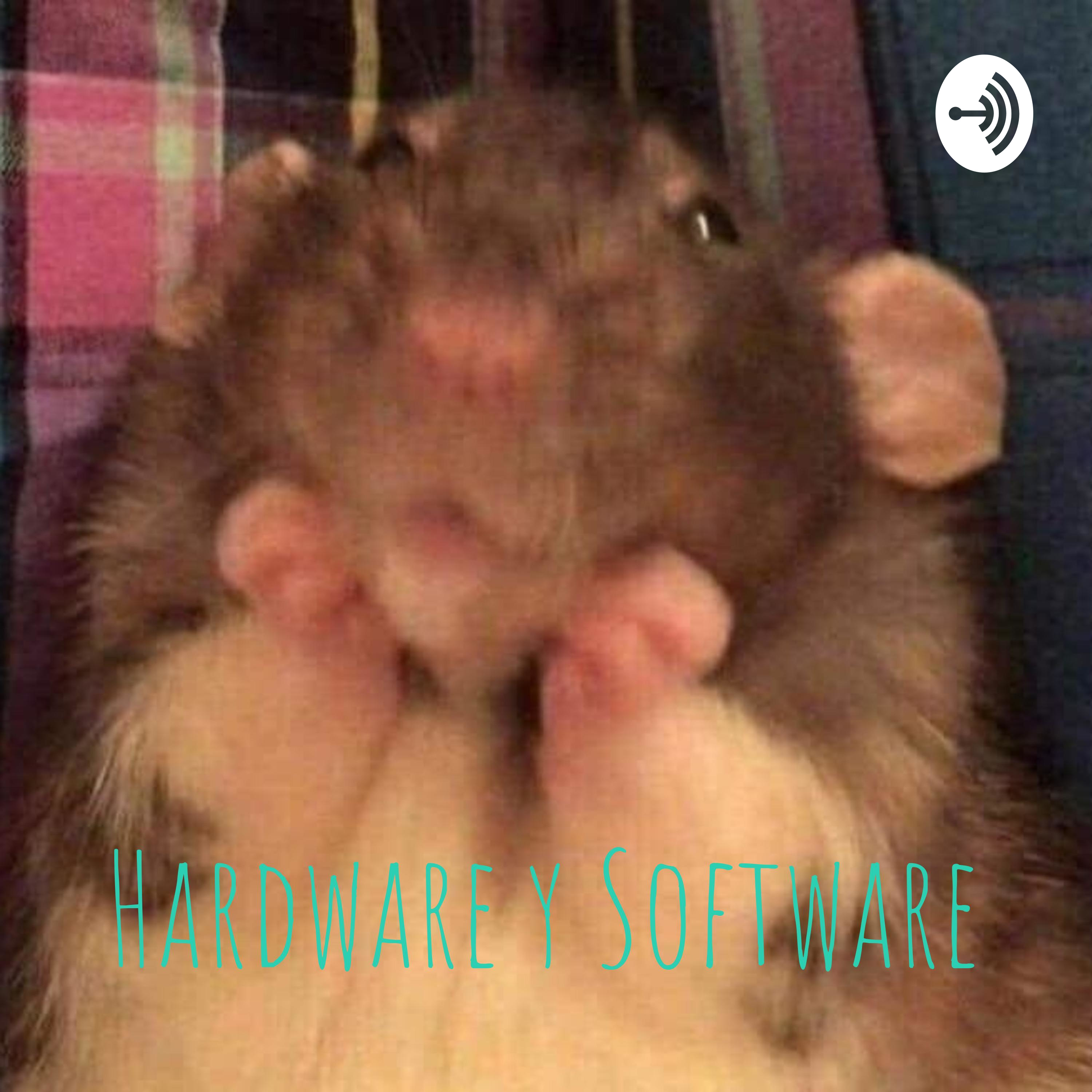 Hardware y Software